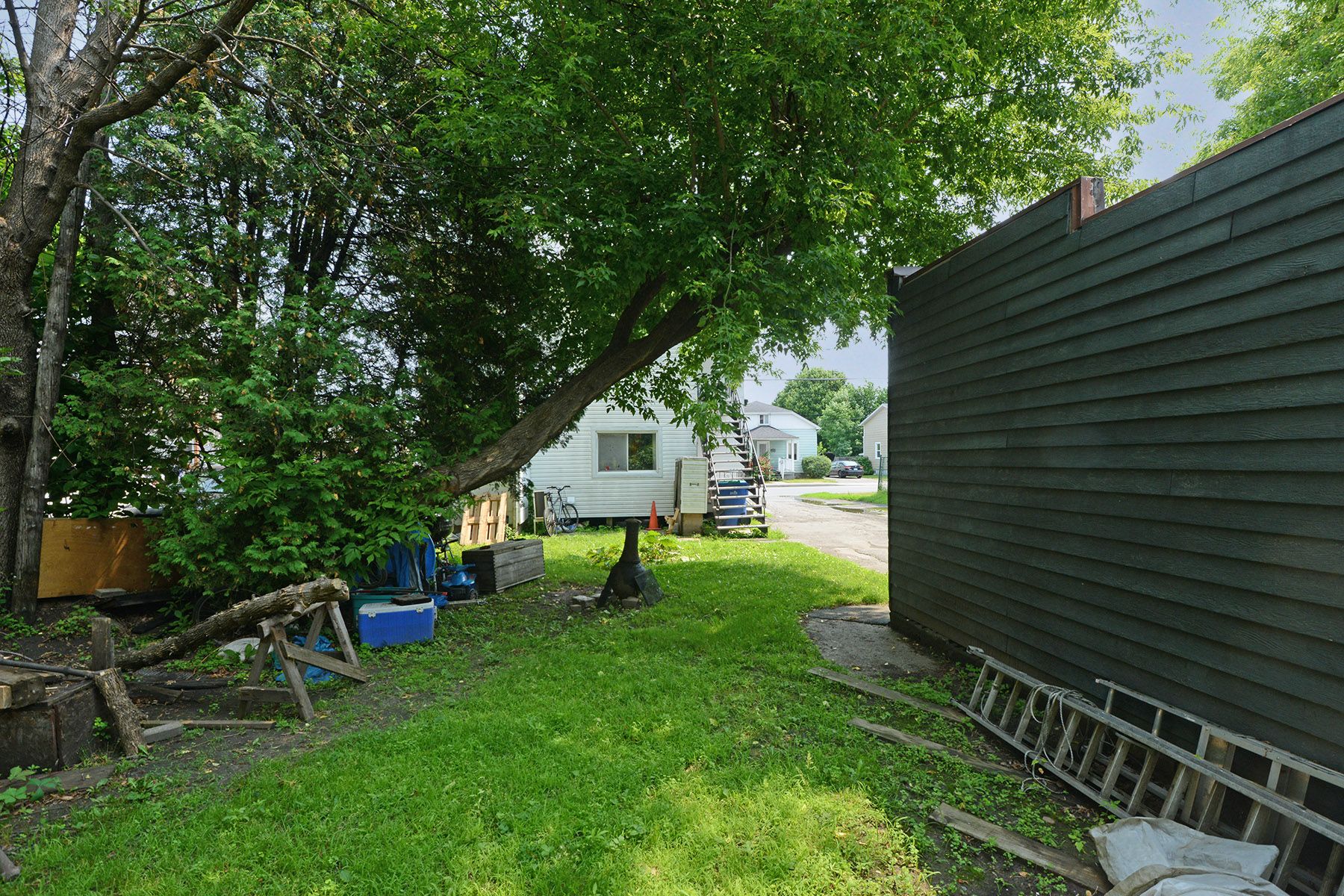 Backyard