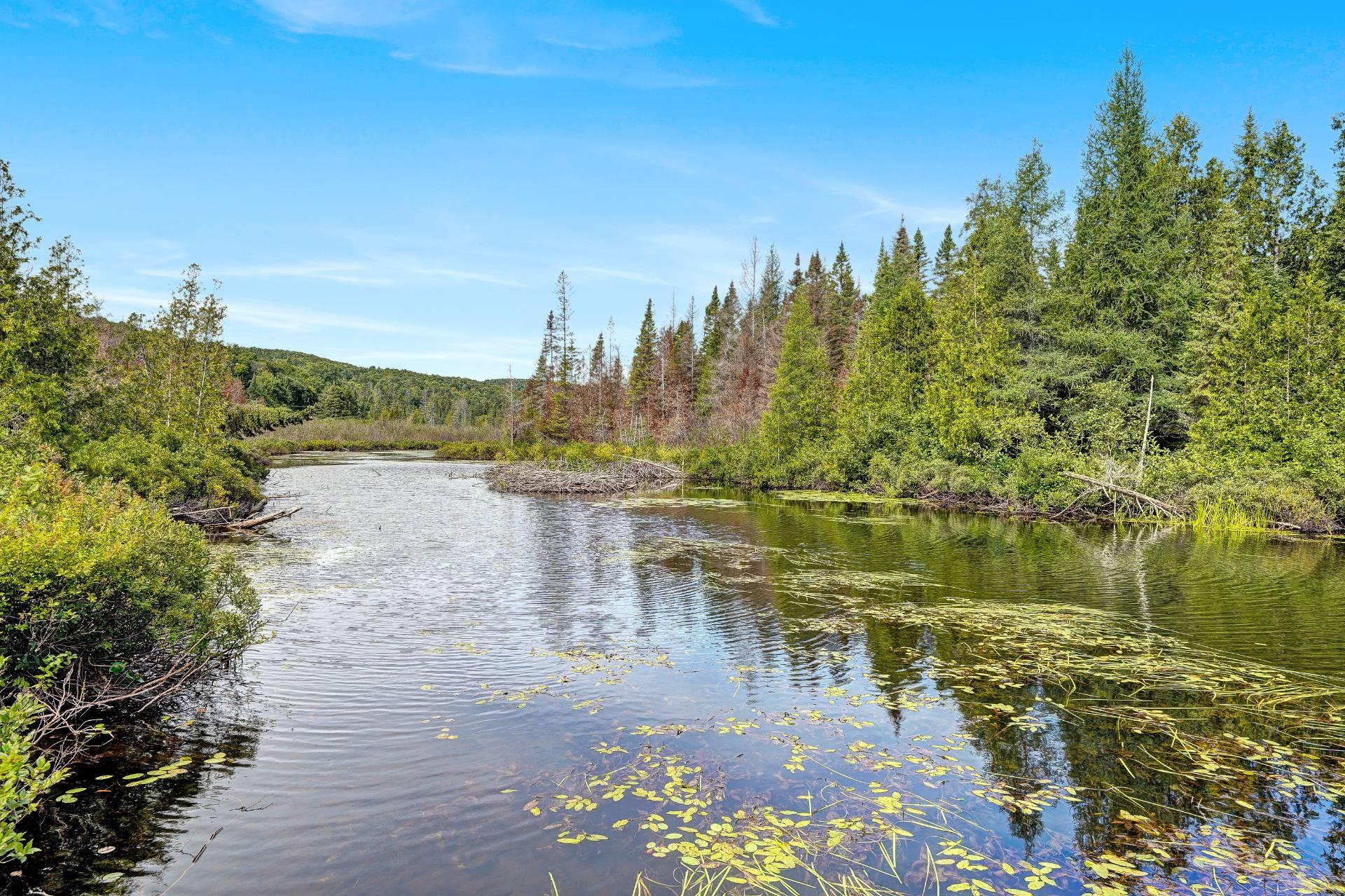 Accès au plan d'eau