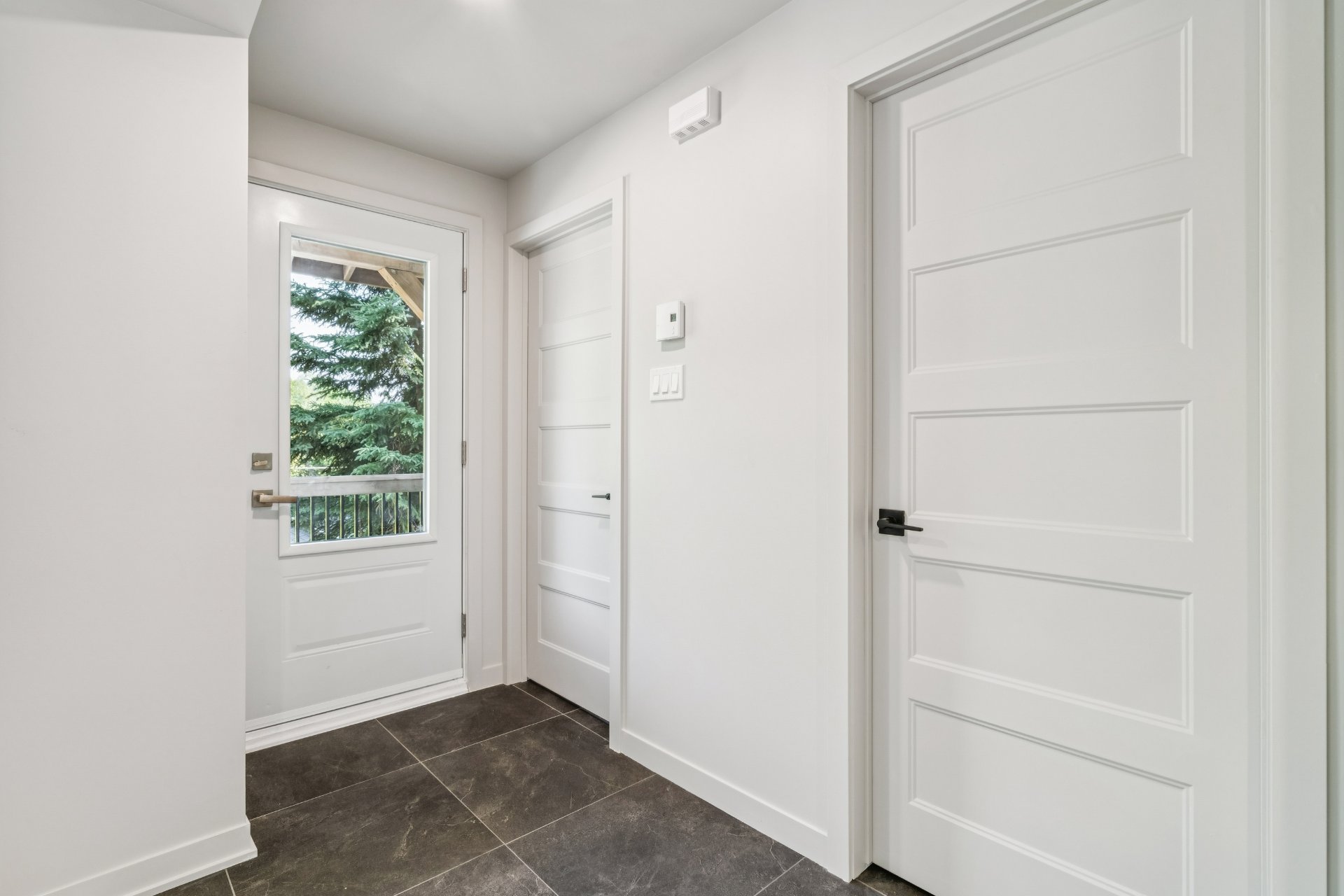Hall d'entrée/Vestibule