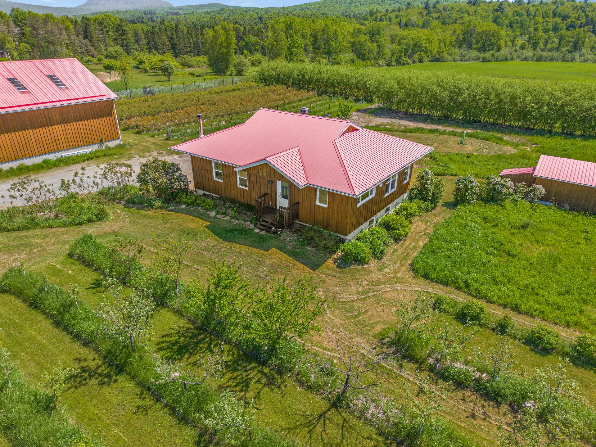Overall View