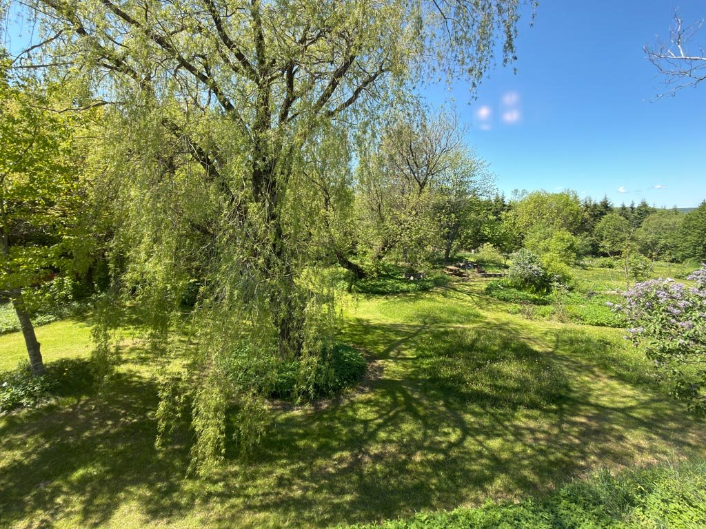 Terre/Terrain
