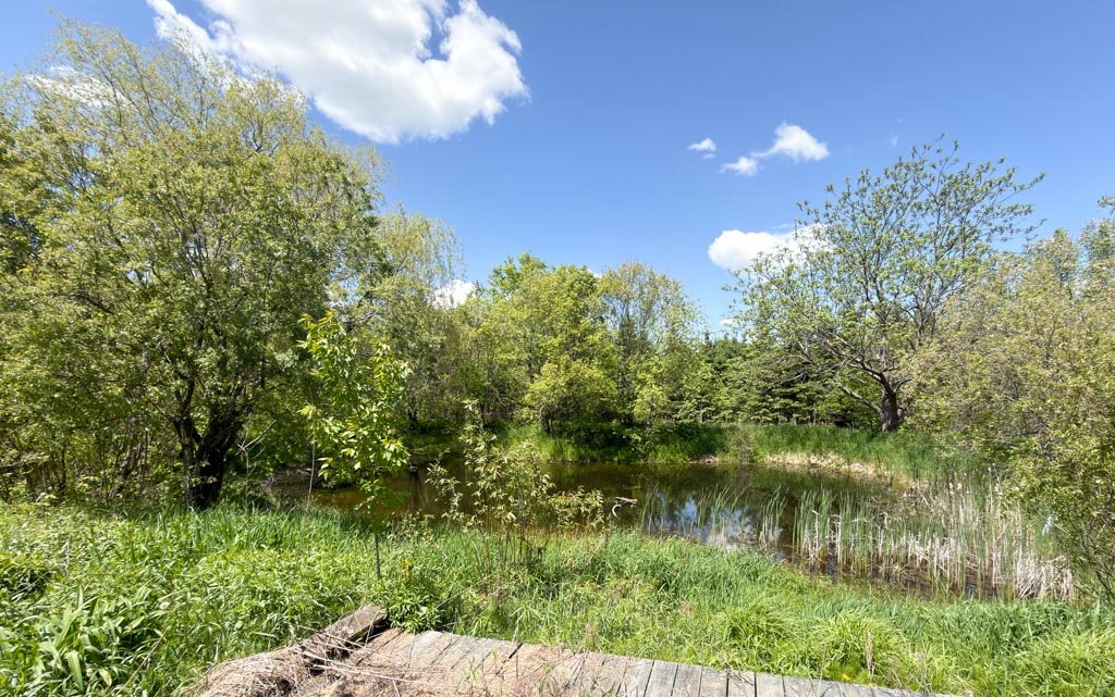 Vue sur l'eau