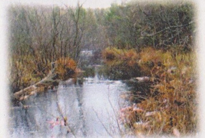 Bord de l'eau