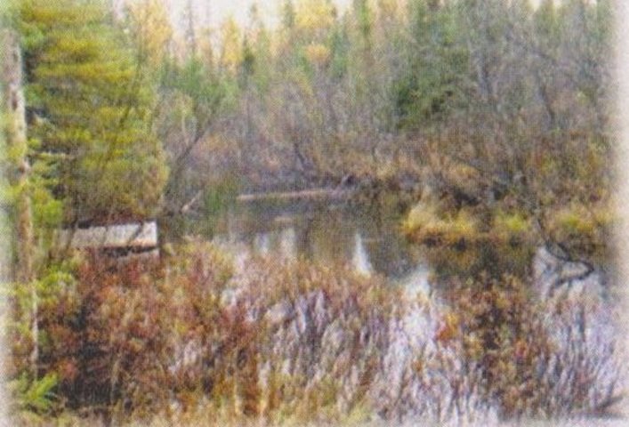 Bord de l'eau