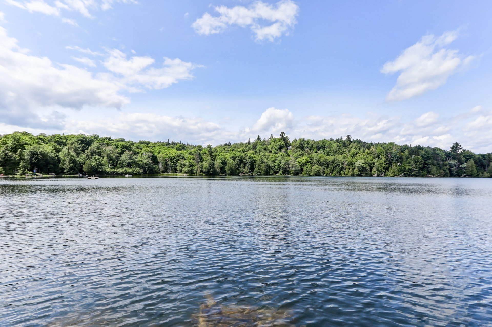 Bord de l'eau