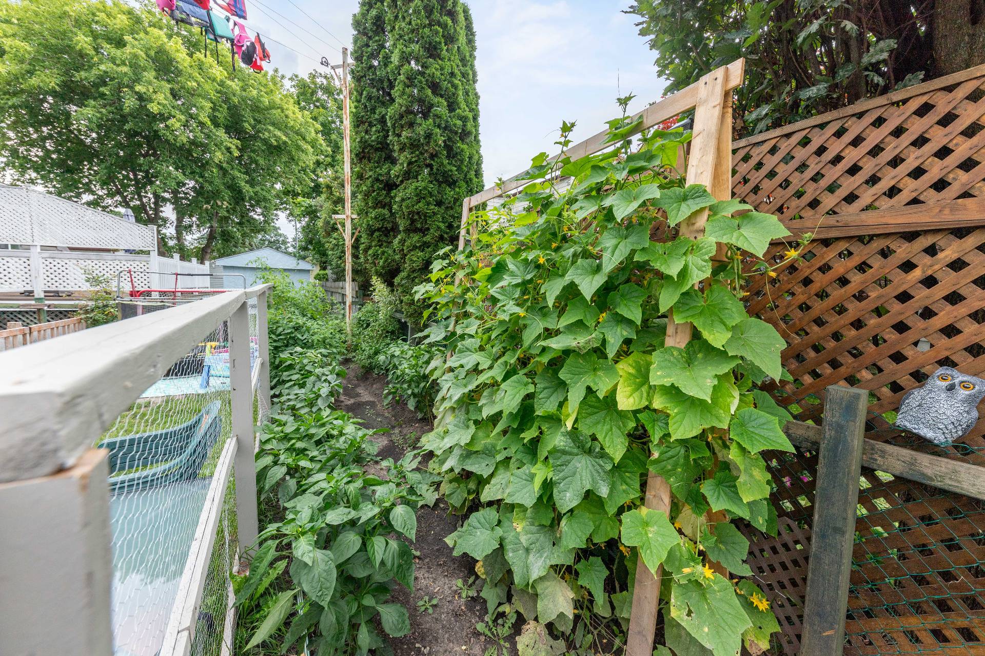 Jardin