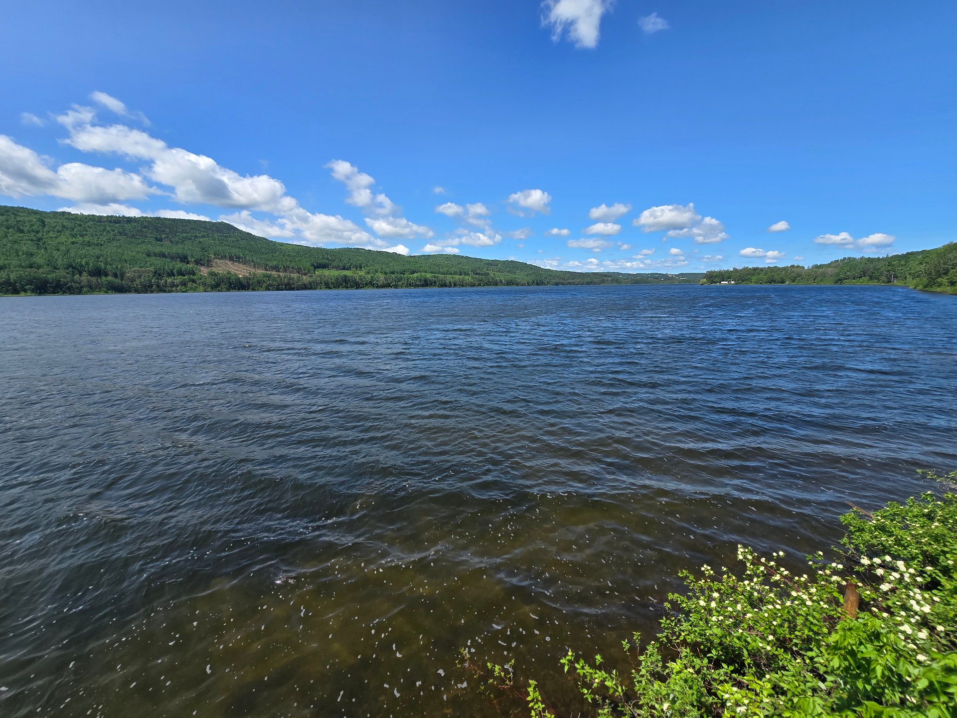 View