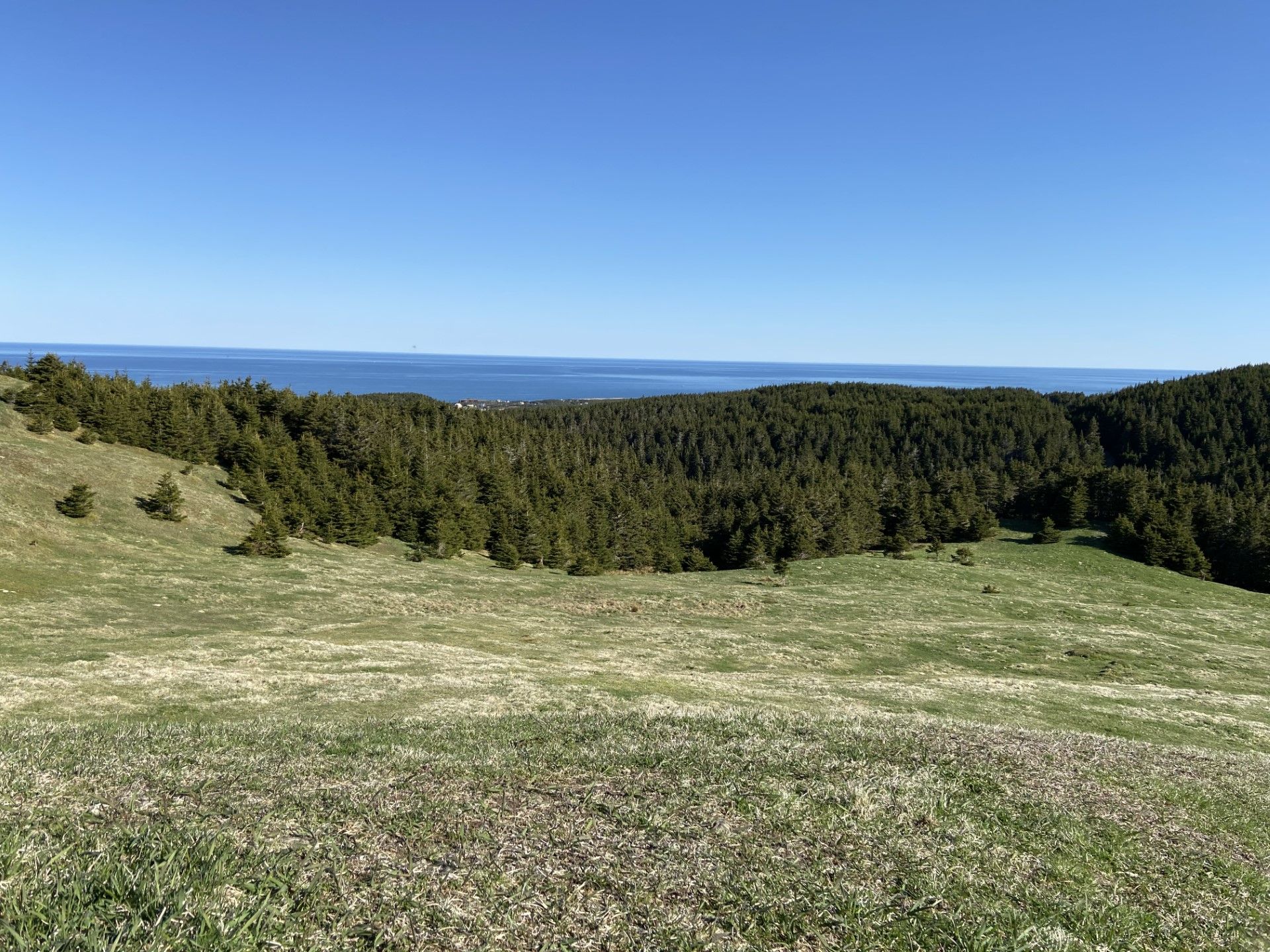 Terre/Terrain