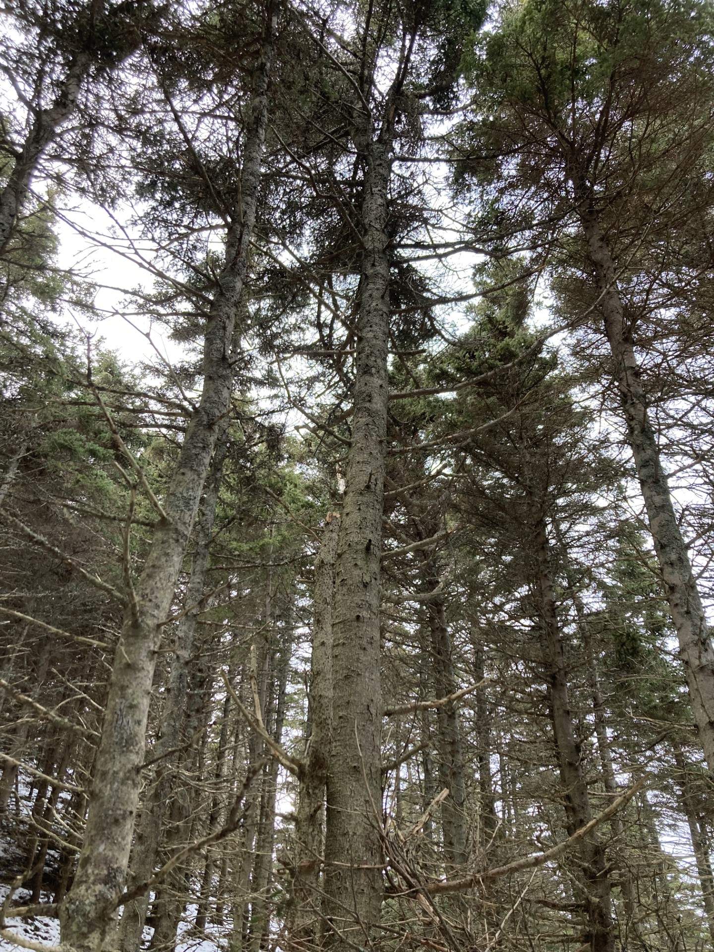 Terre/Terrain