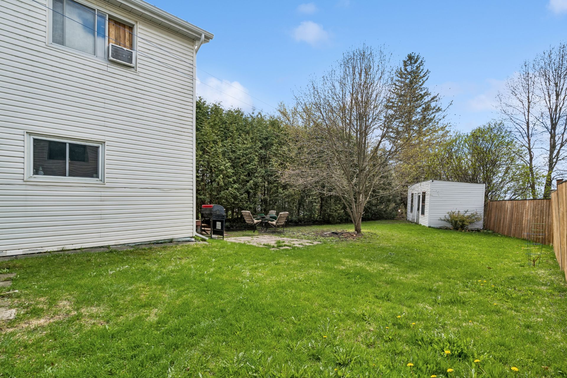 Backyard