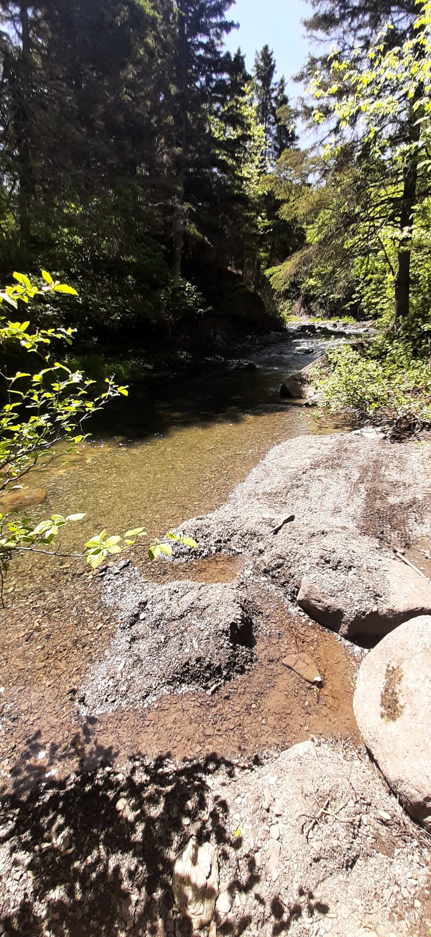 Accès au plan d'eau