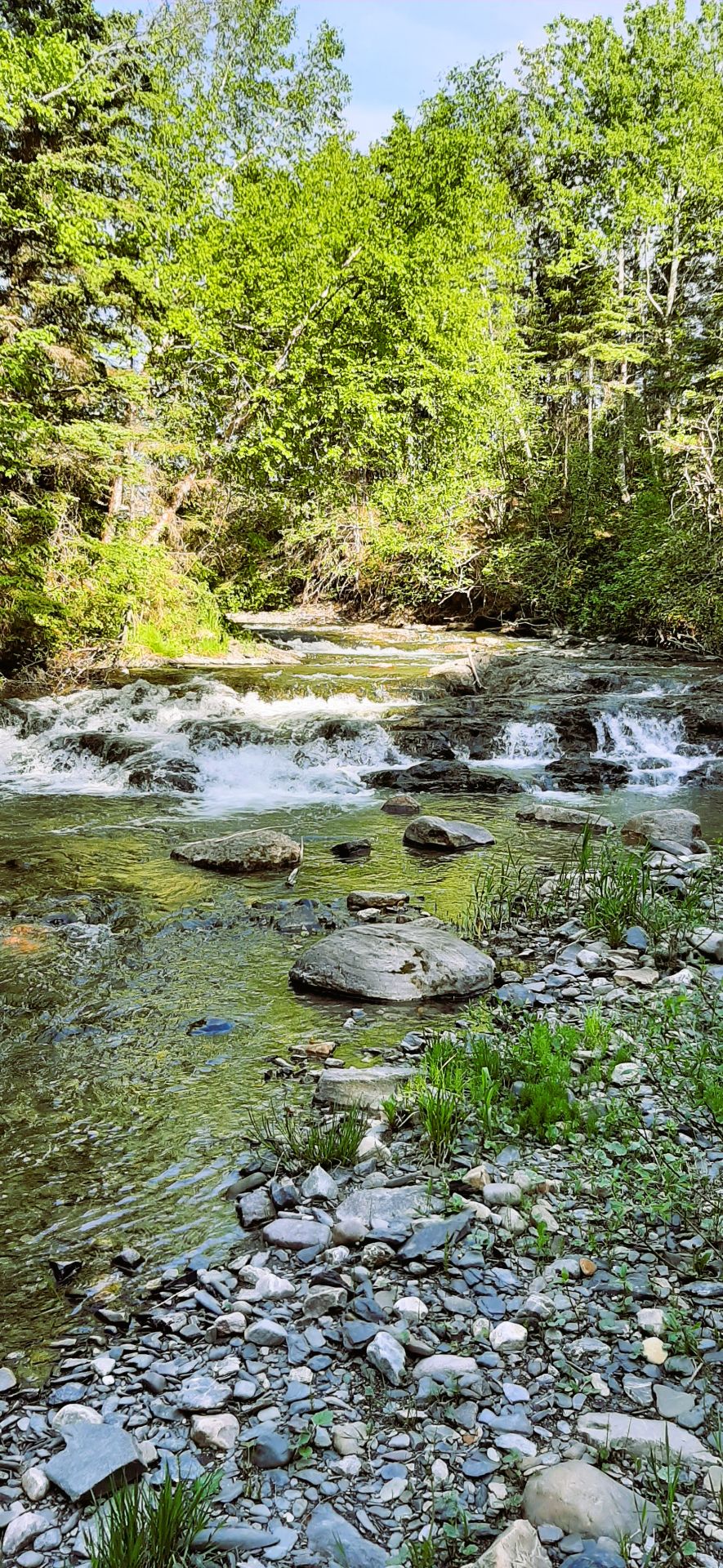 Bordé par le ruisseau