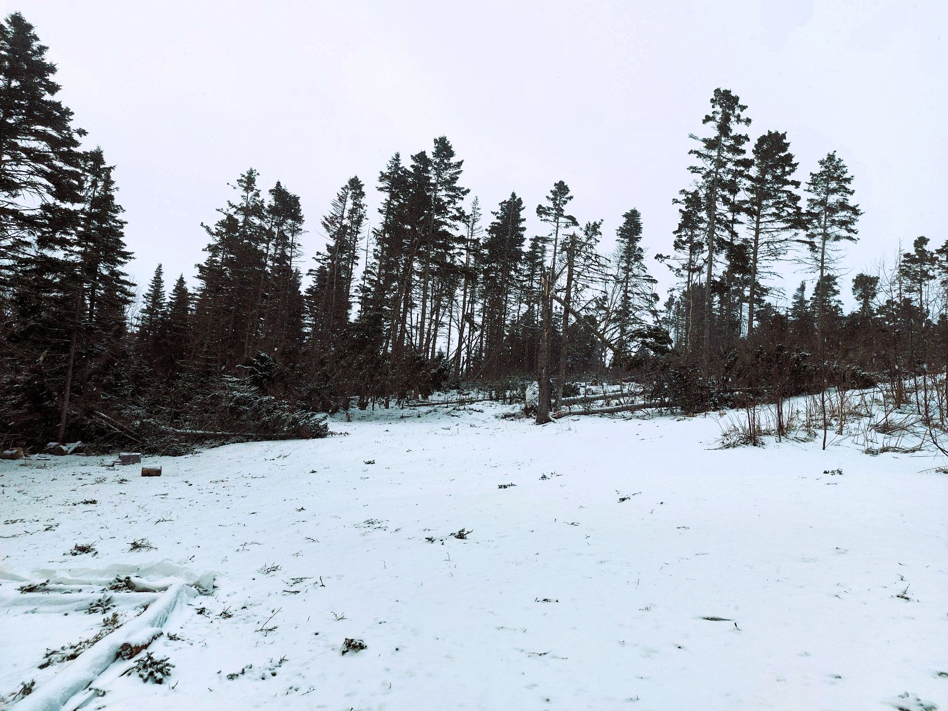 Terre/Terrain