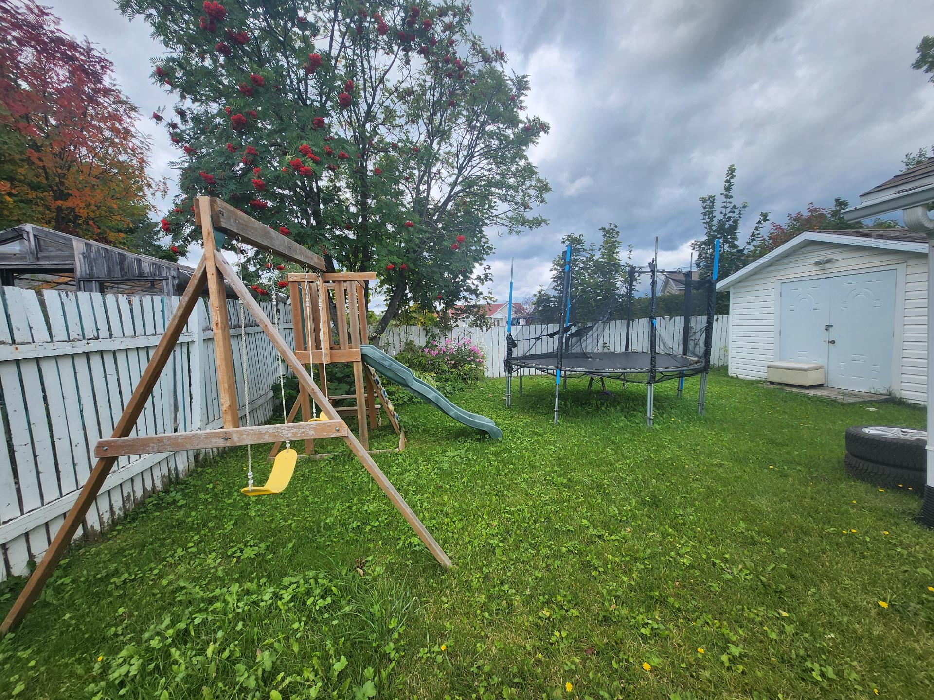 Backyard