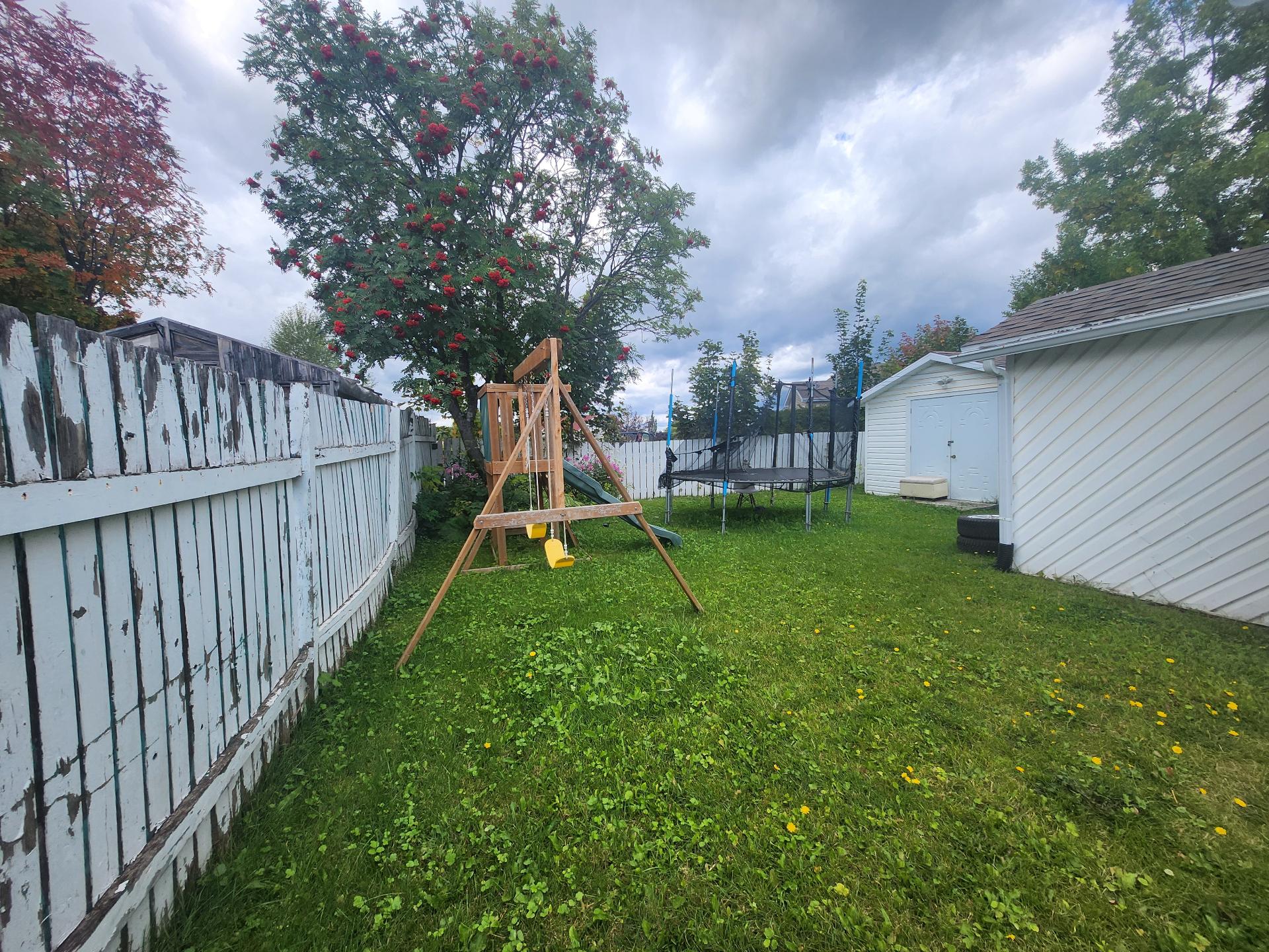 Backyard