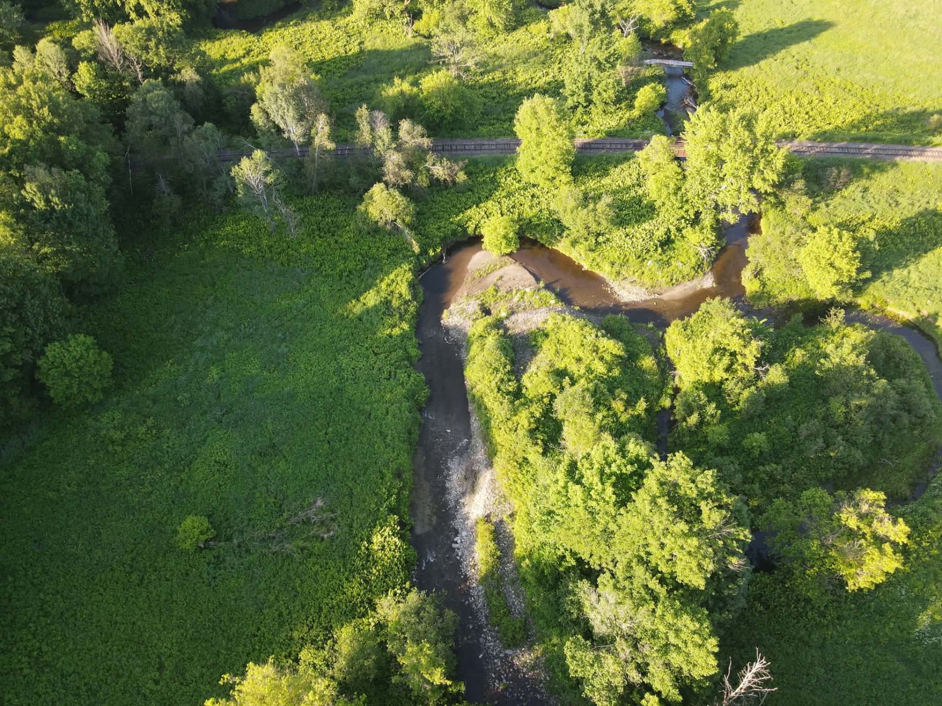 Terre/Terrain