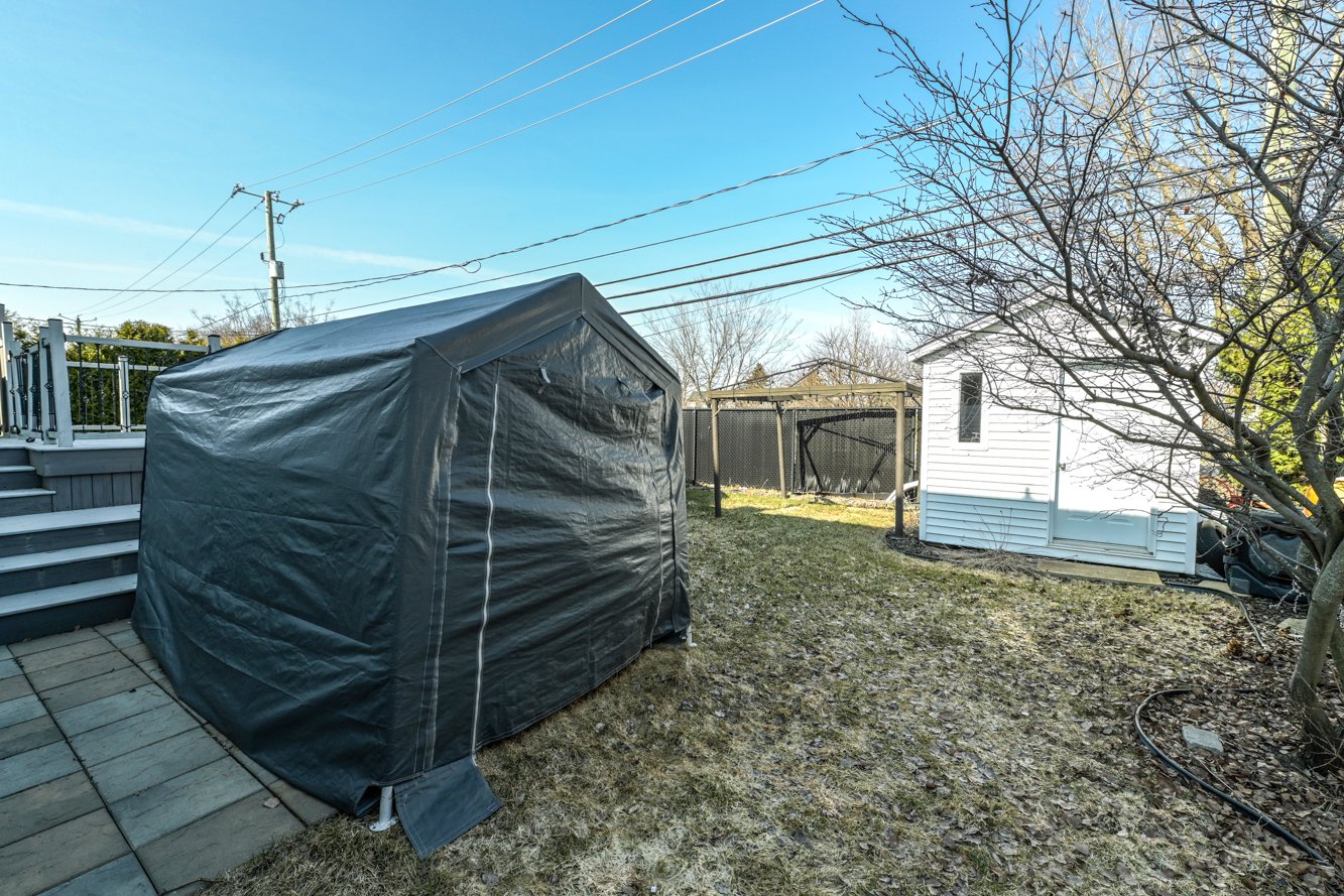 Cour extérieur bordée de haies et clôture