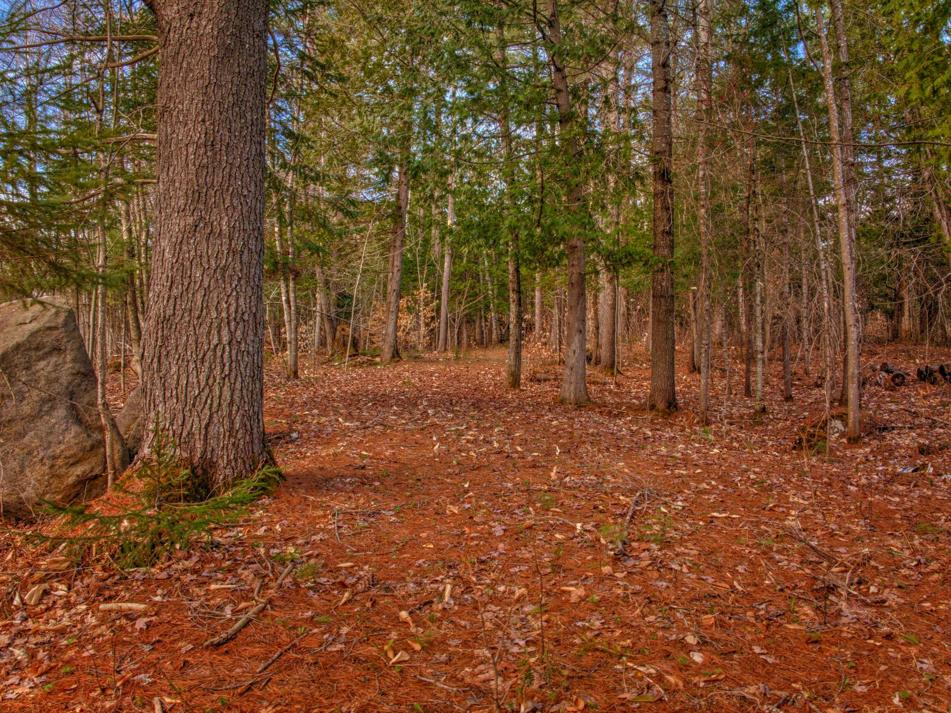Land/Lot