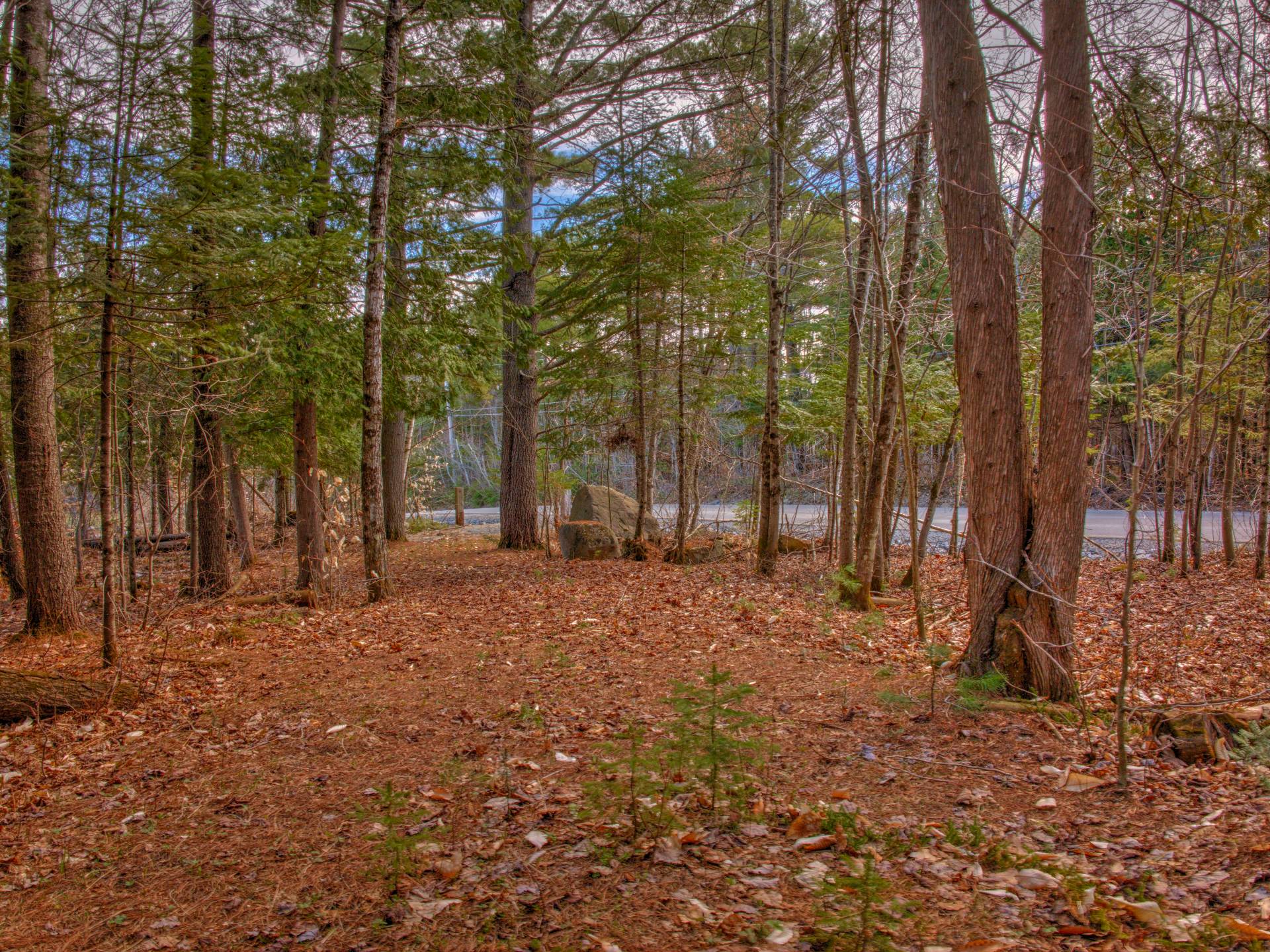 Land/Lot