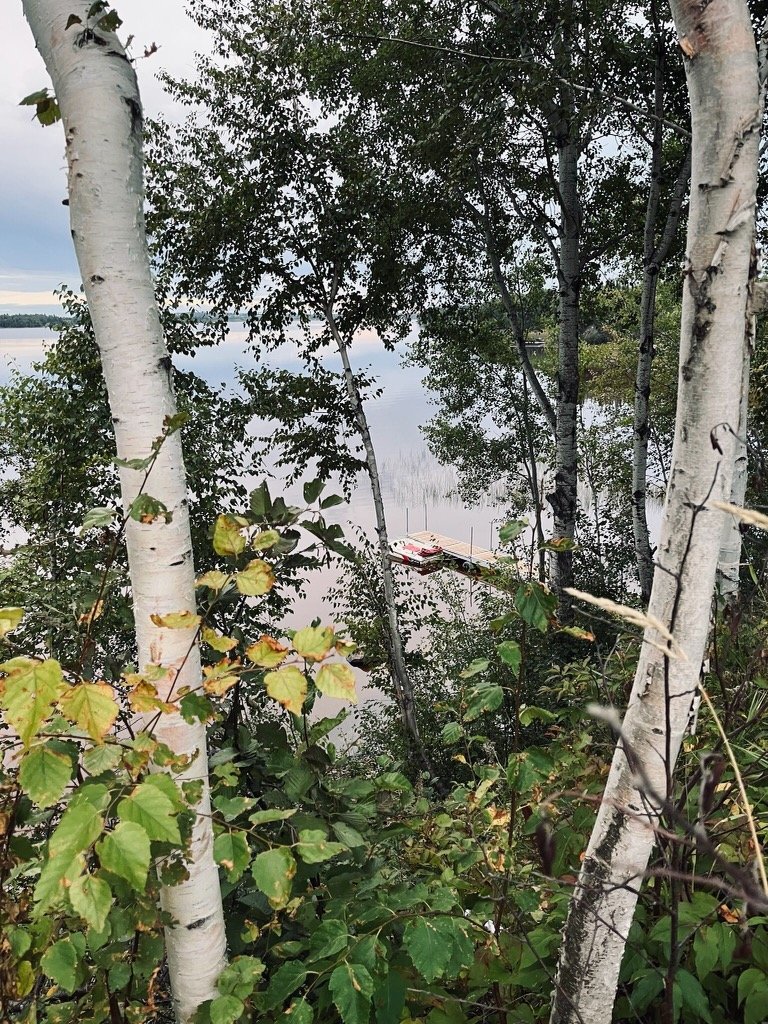 Vue