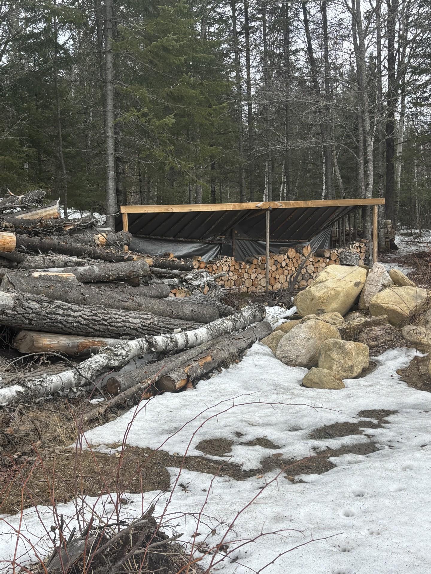 Bois coupé du terrain