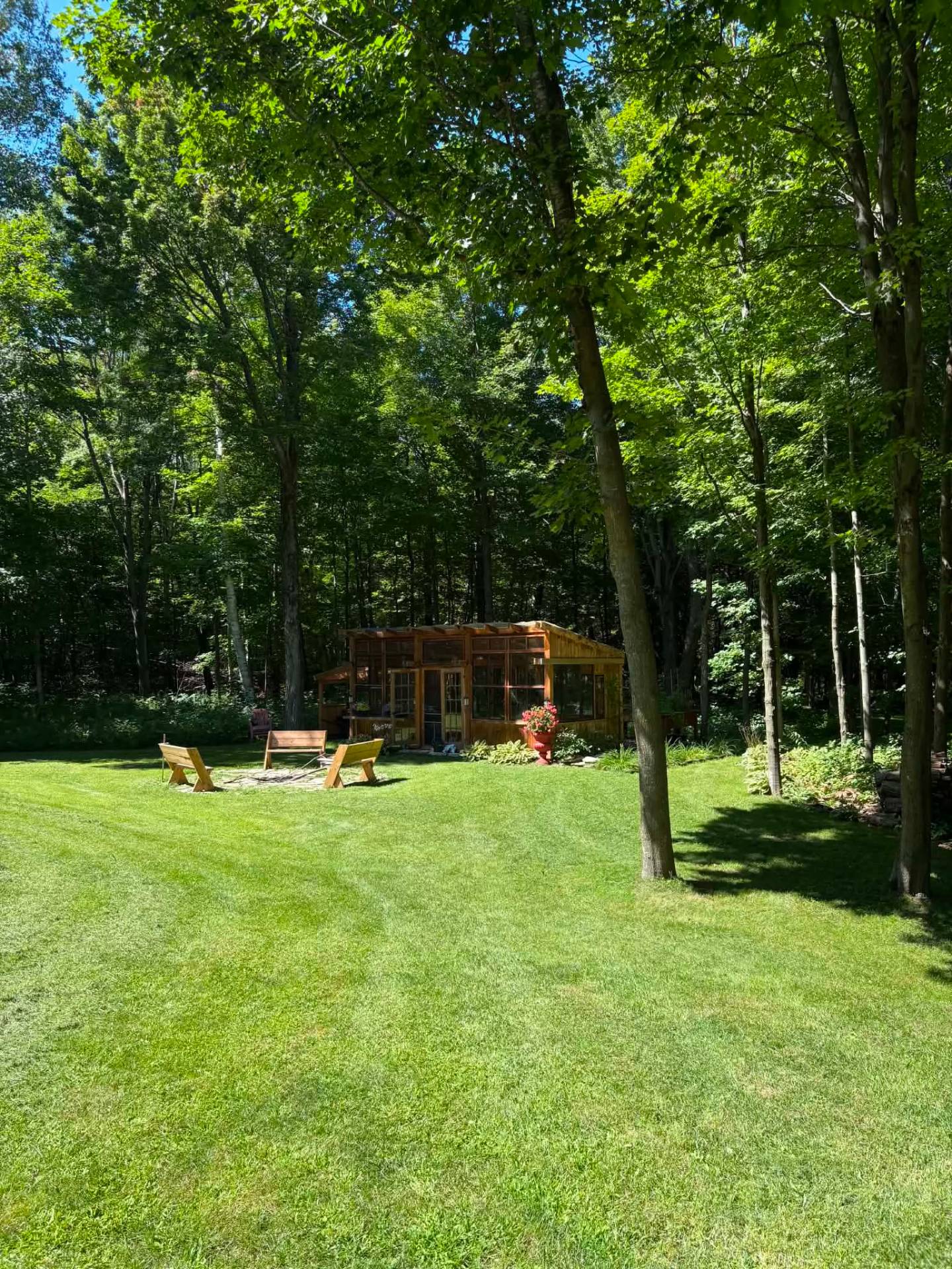 Backyard