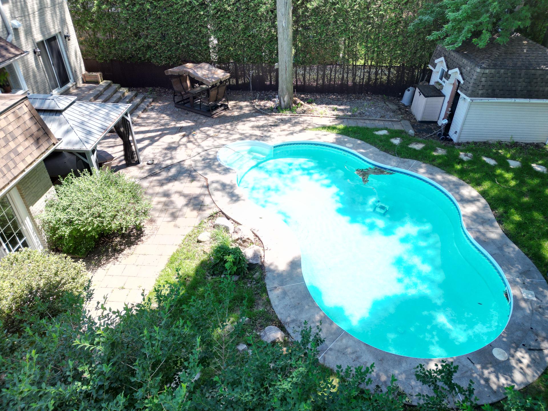 Backyard
