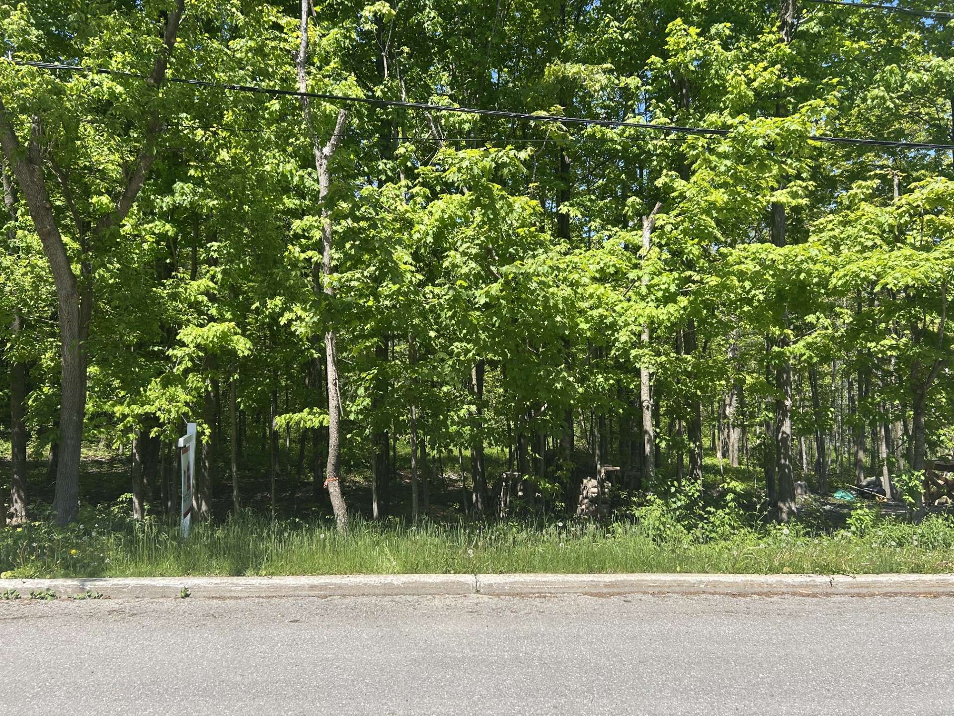 Land/Lot