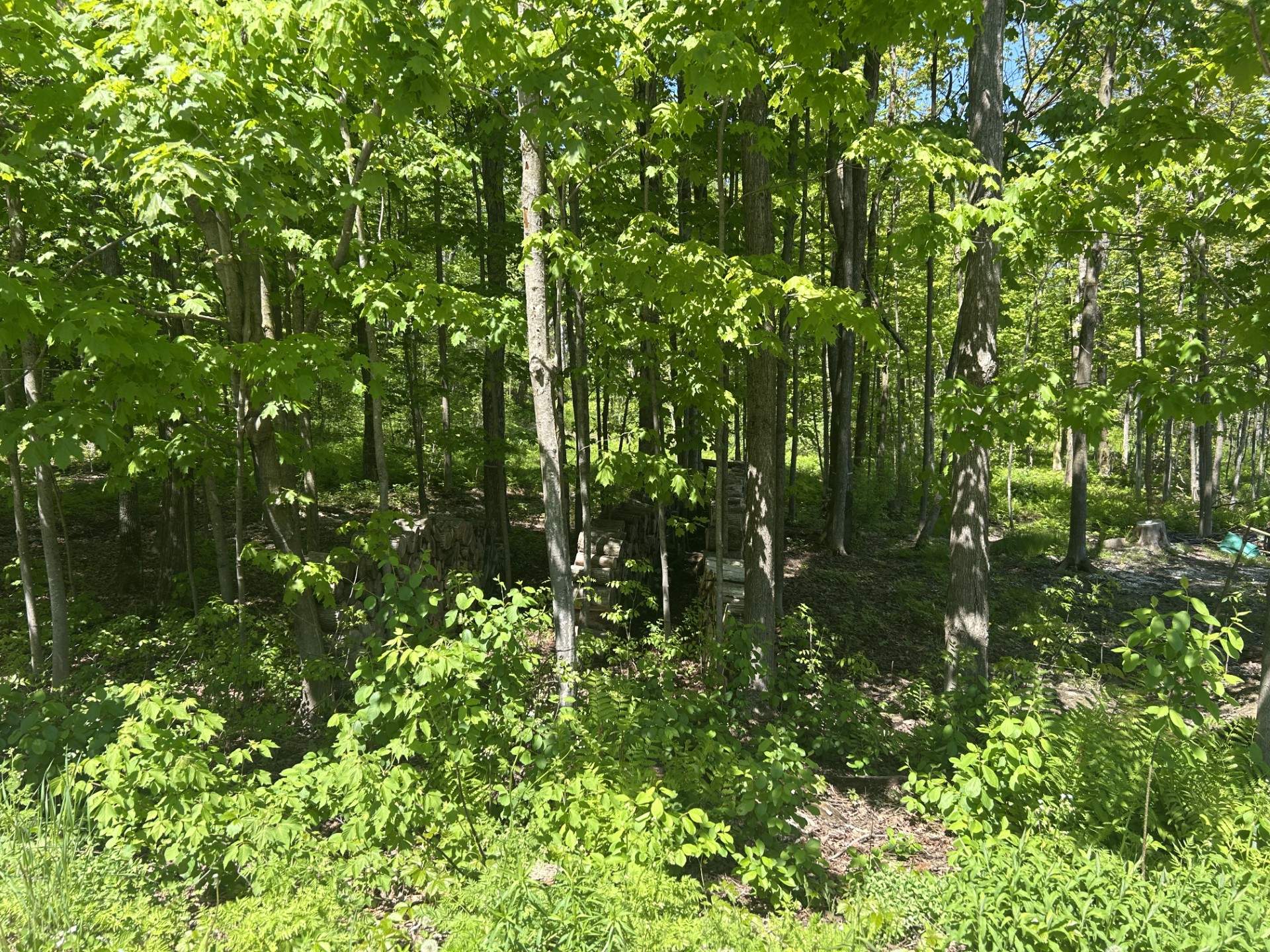 Land/Lot