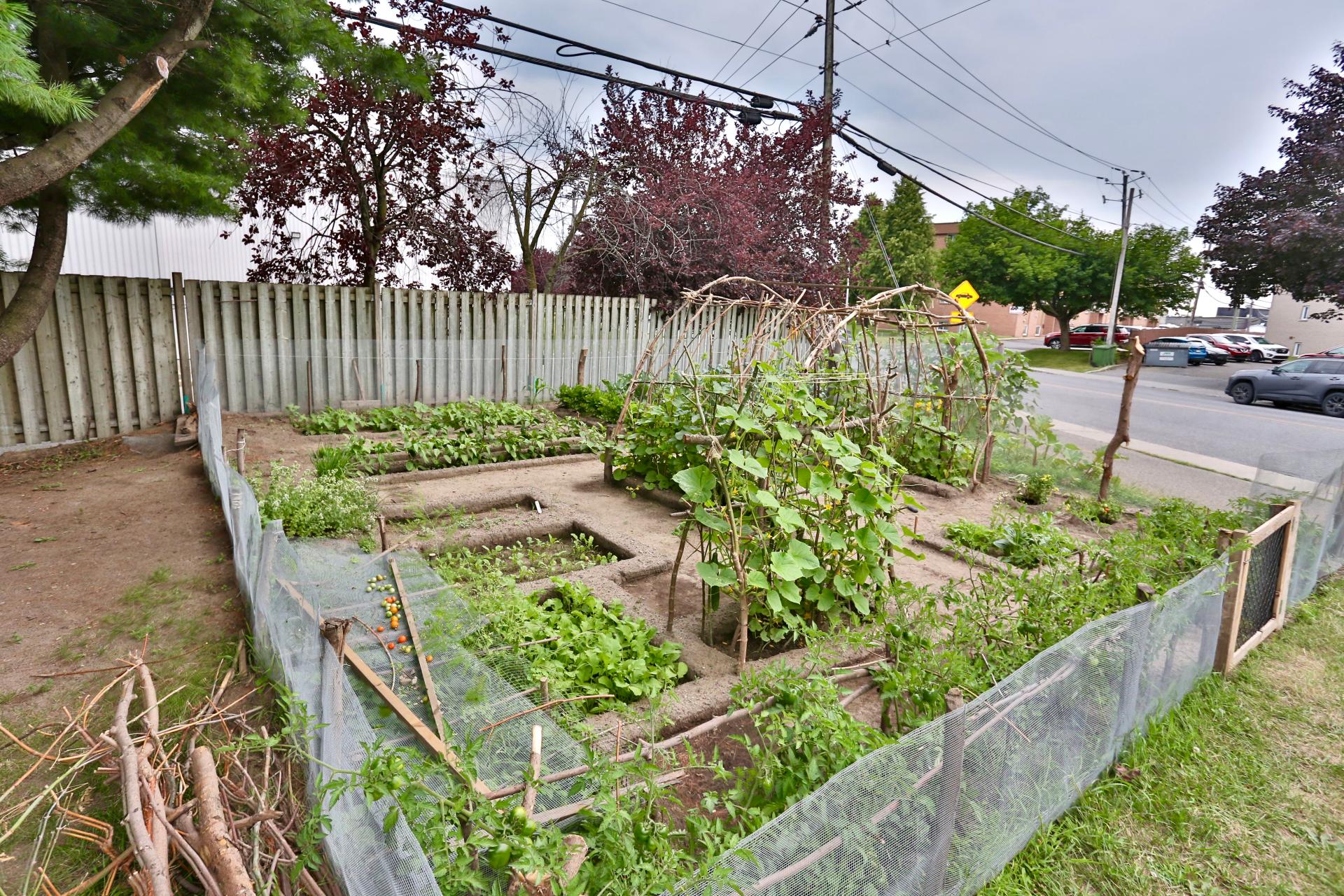 Garden