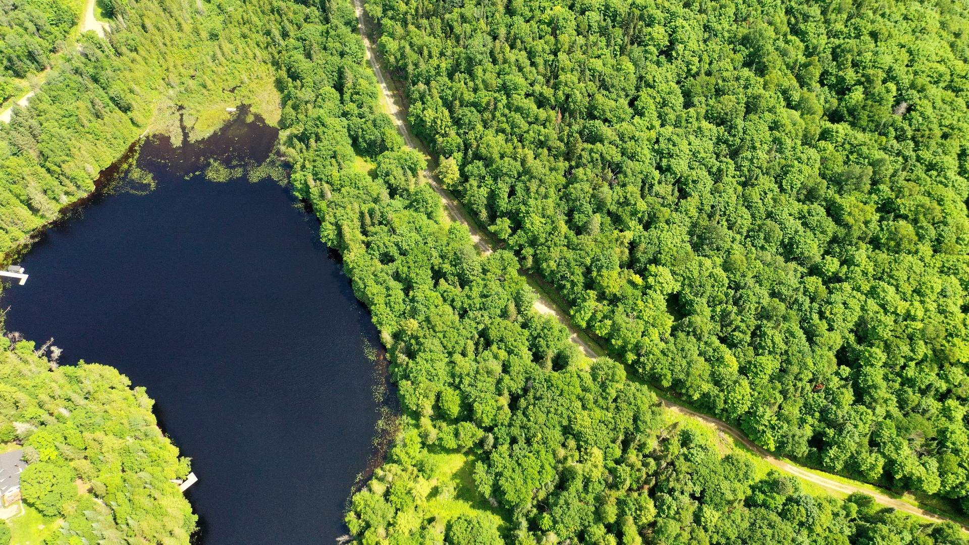 Chemin vers le lac