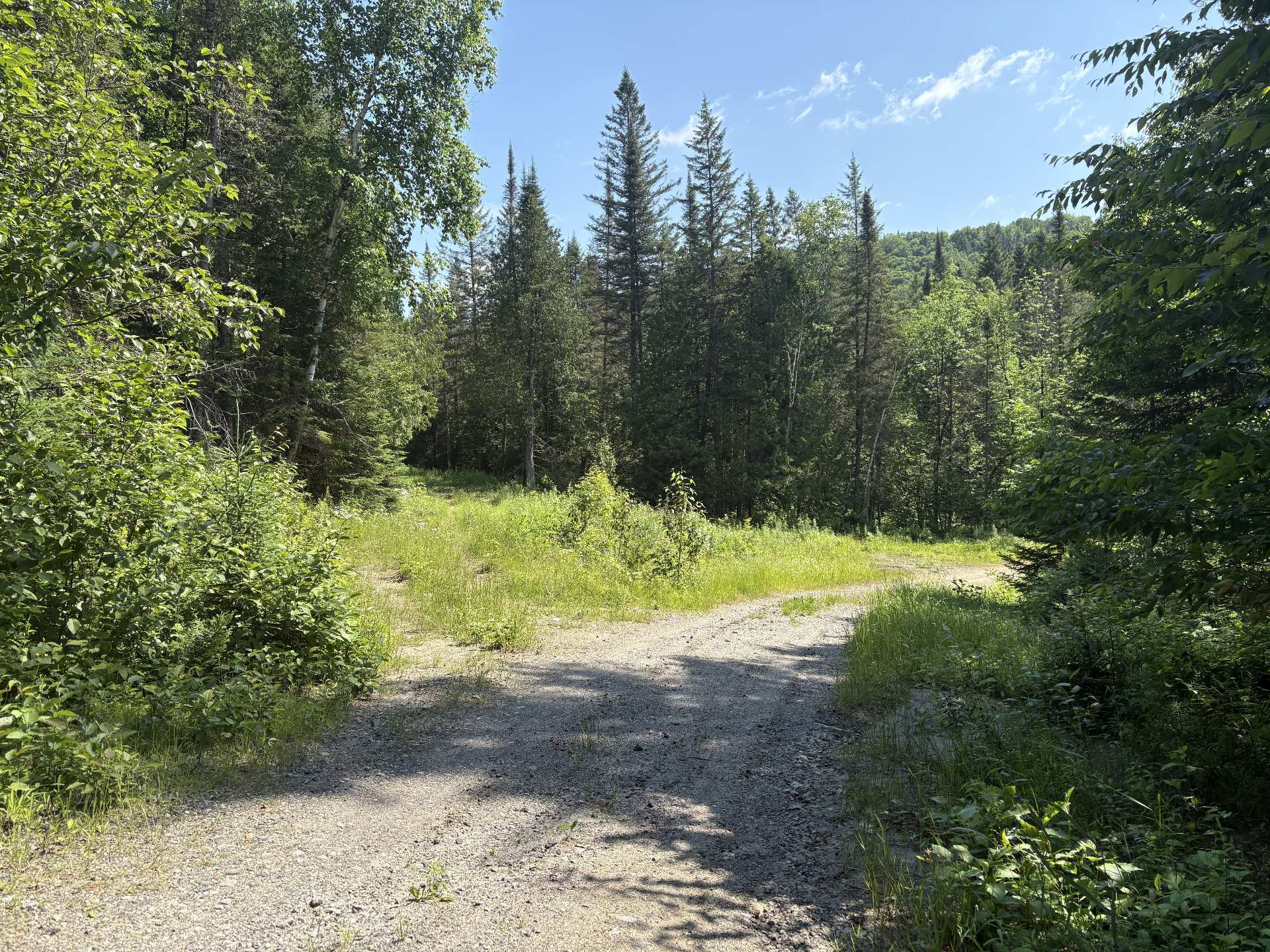 Chemin