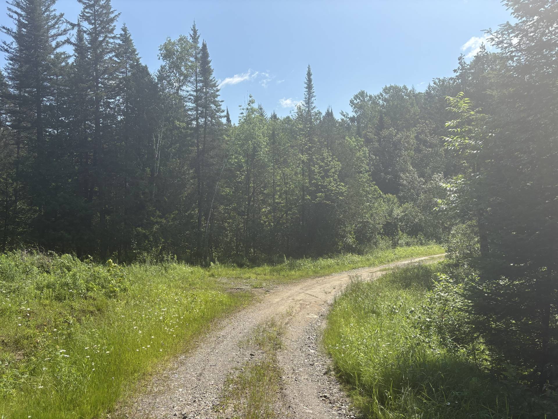 Chemin