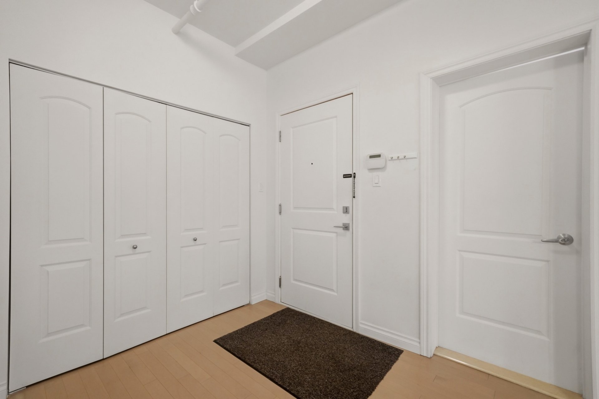Hall d'entrée/Vestibule