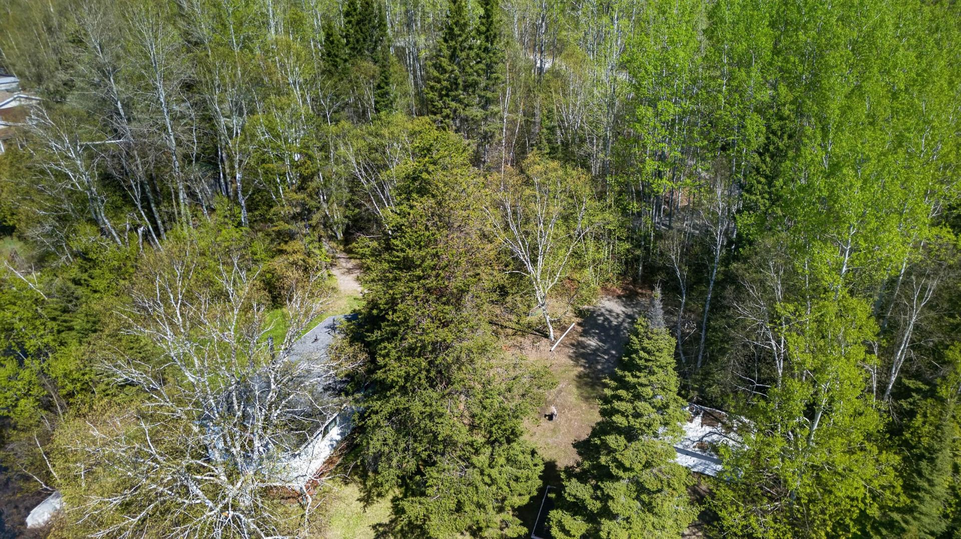 Aerial photo