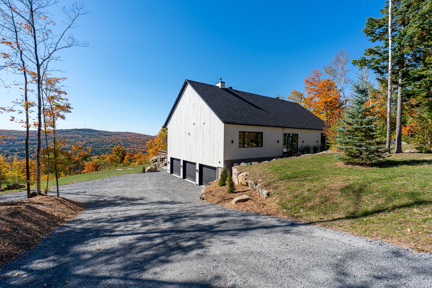 Overall View