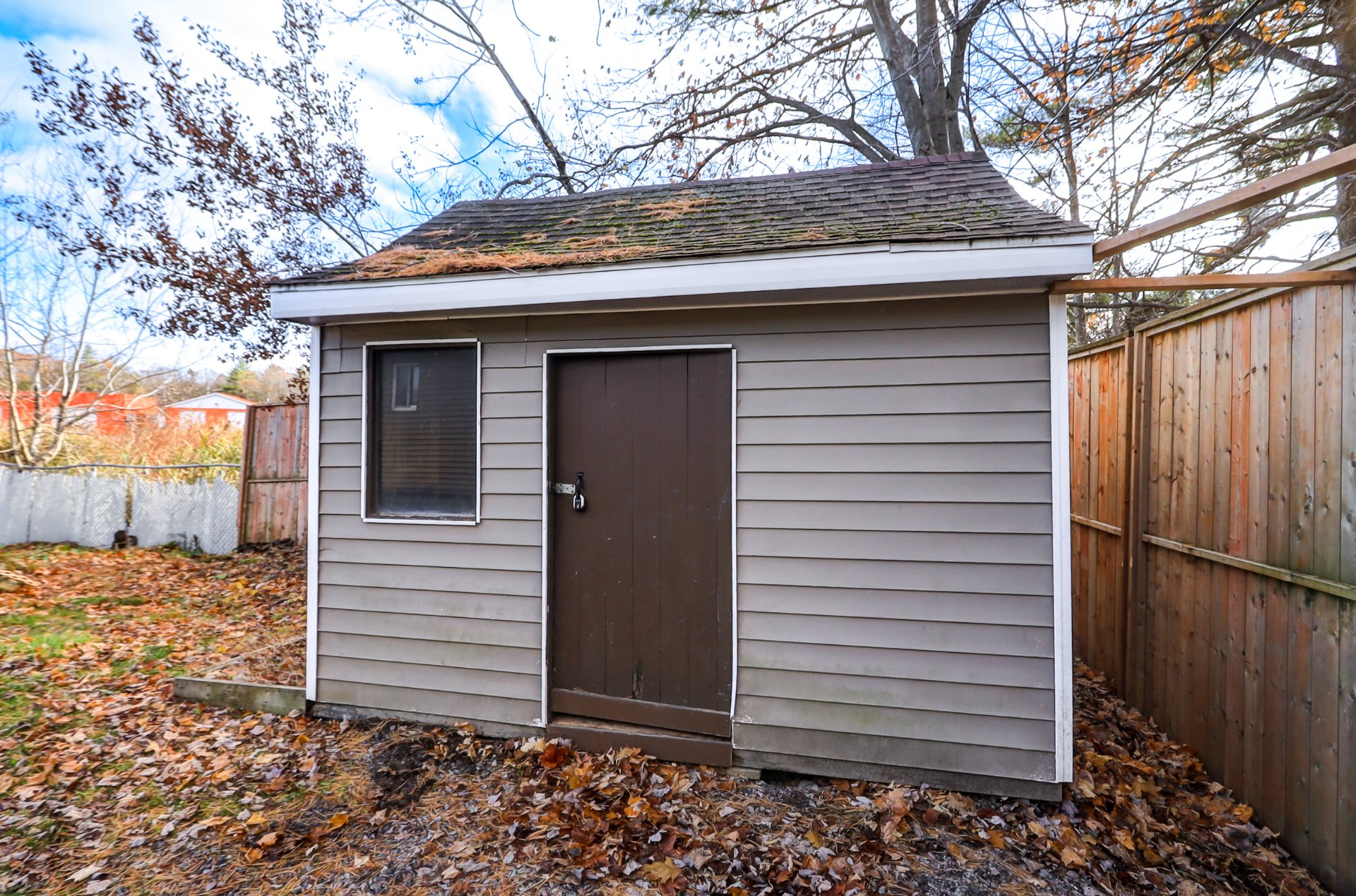Shed