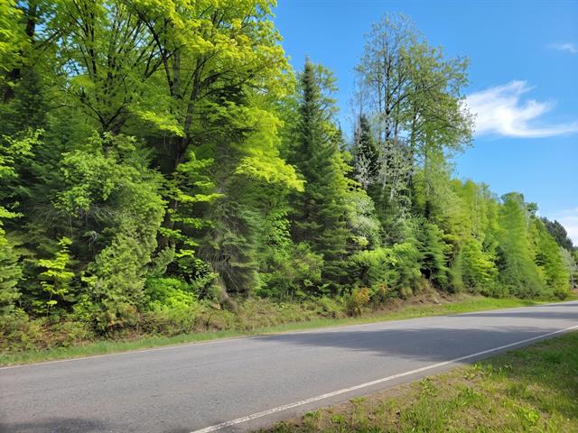 Land/Lot