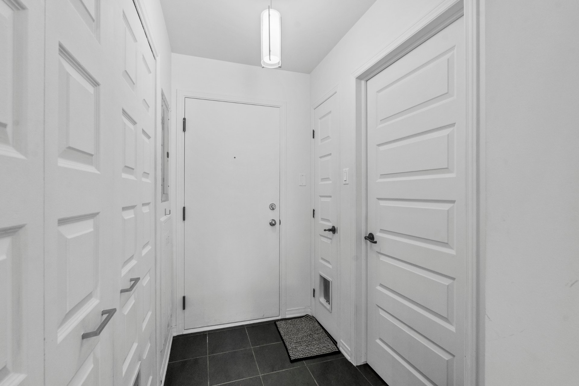 Hall d'entrée/Vestibule