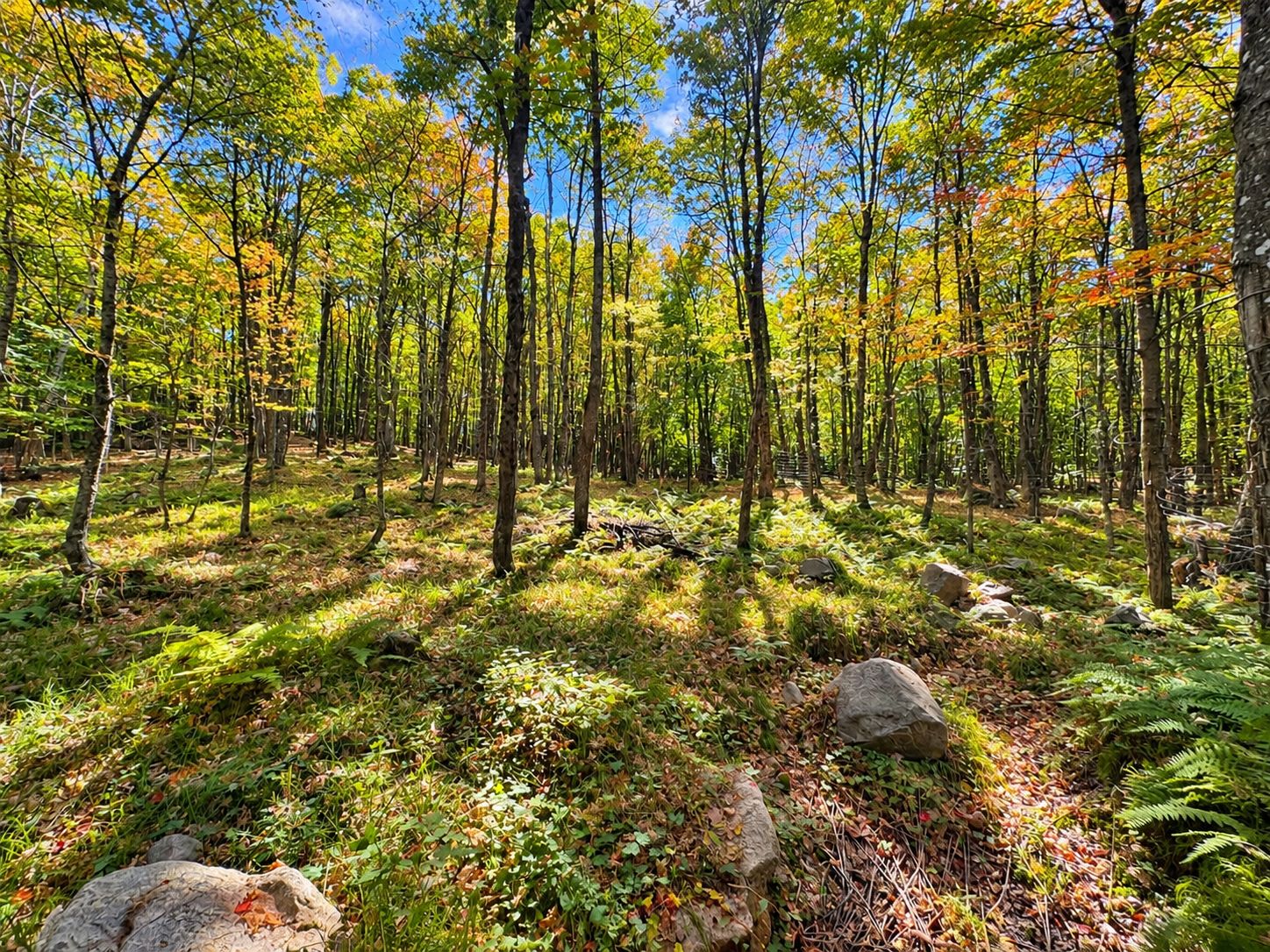 Land/Lot
