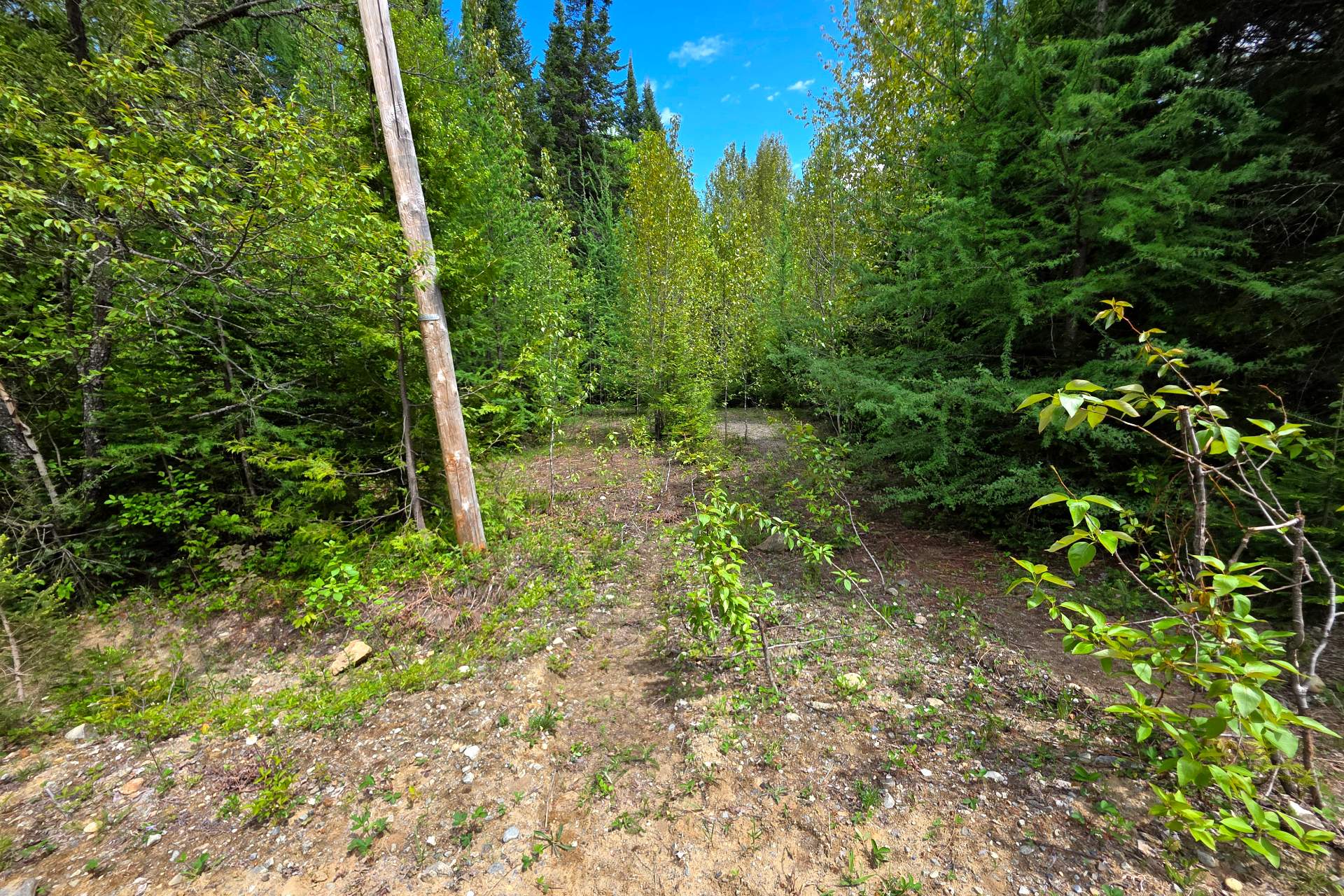 Entrée du terrain
