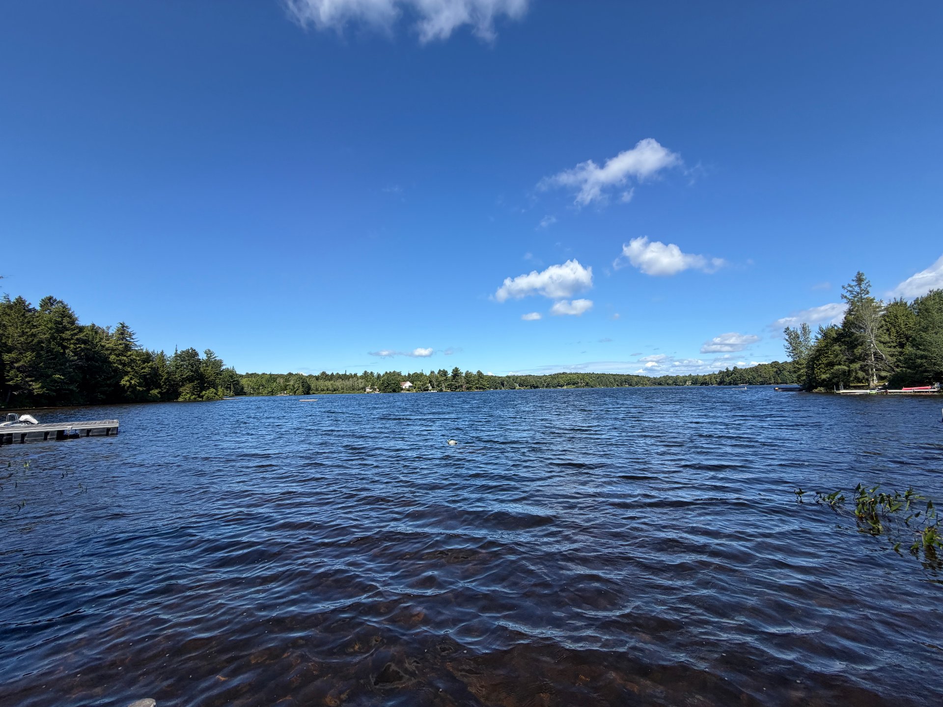 Accès au plan d'eau