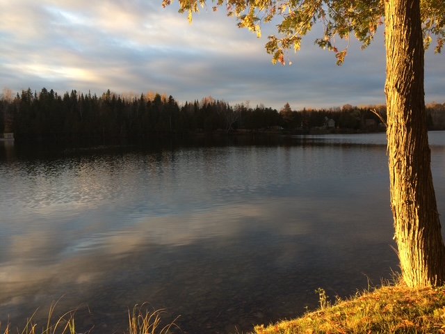 Vue sur l'eau
