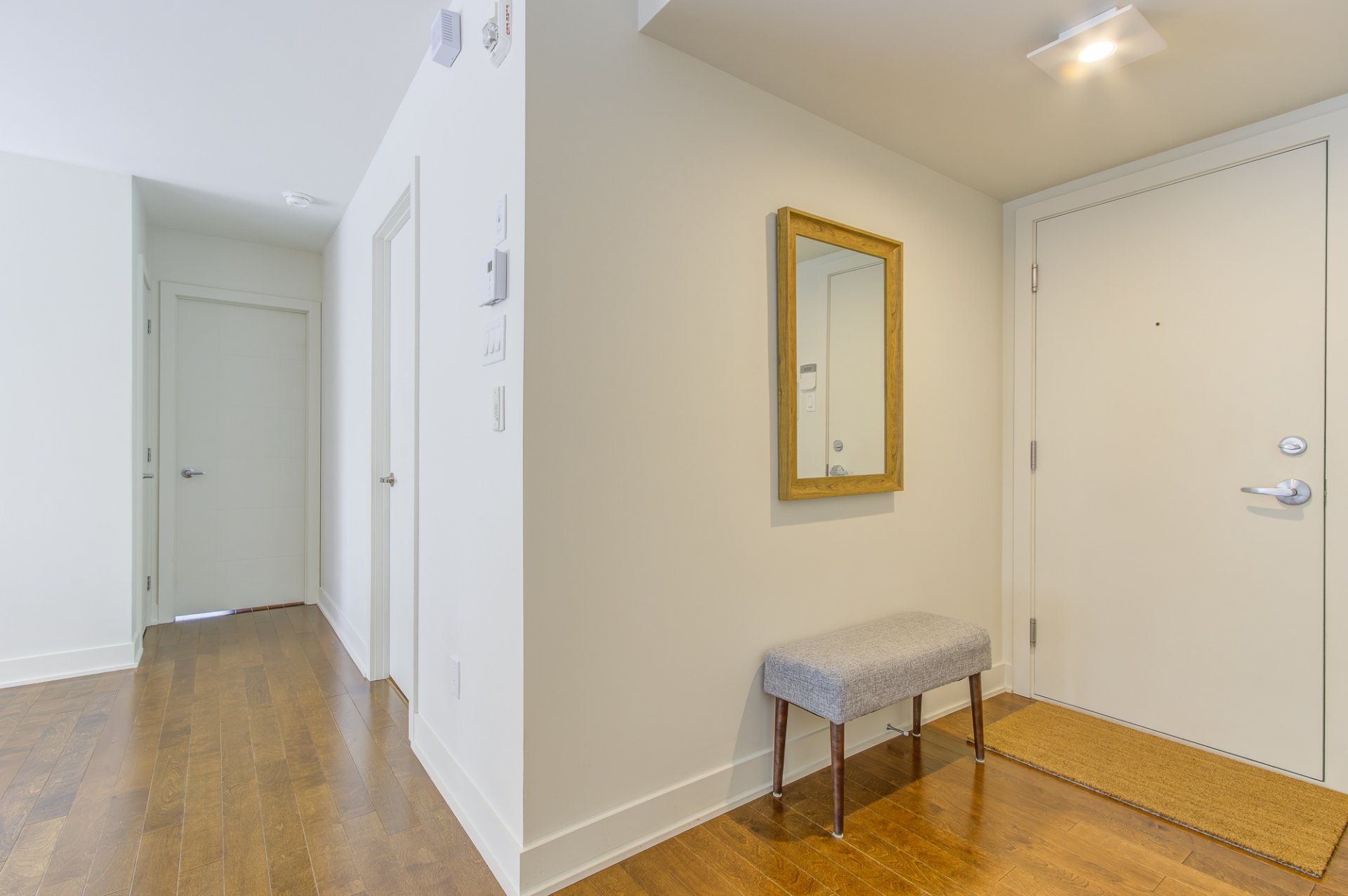 Hall d'entrée/Vestibule