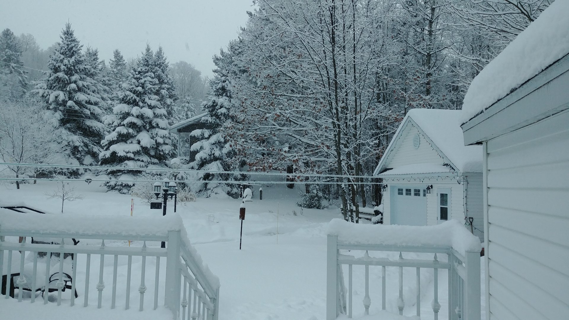 Photo d'hiver
