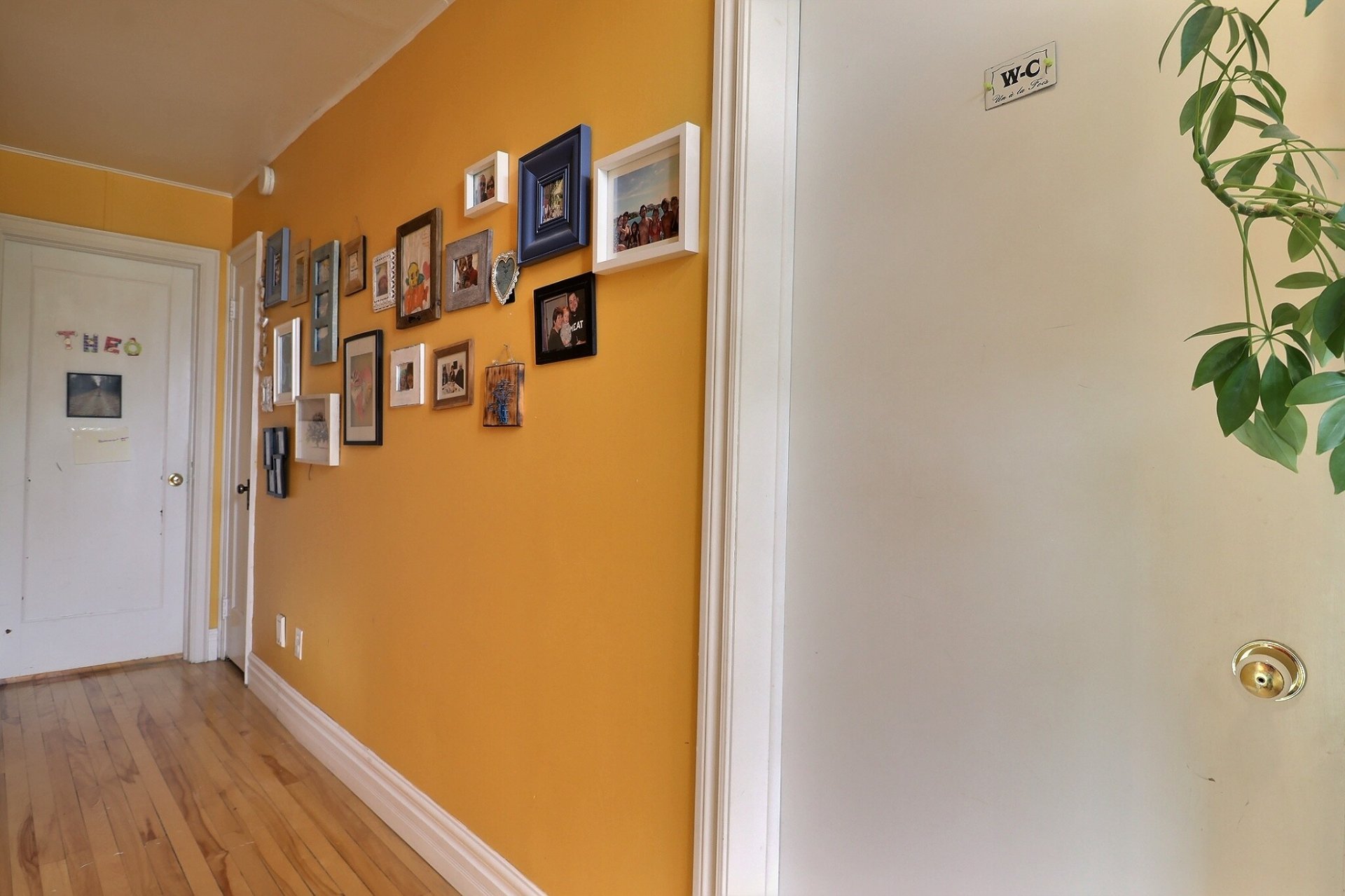 Corridor