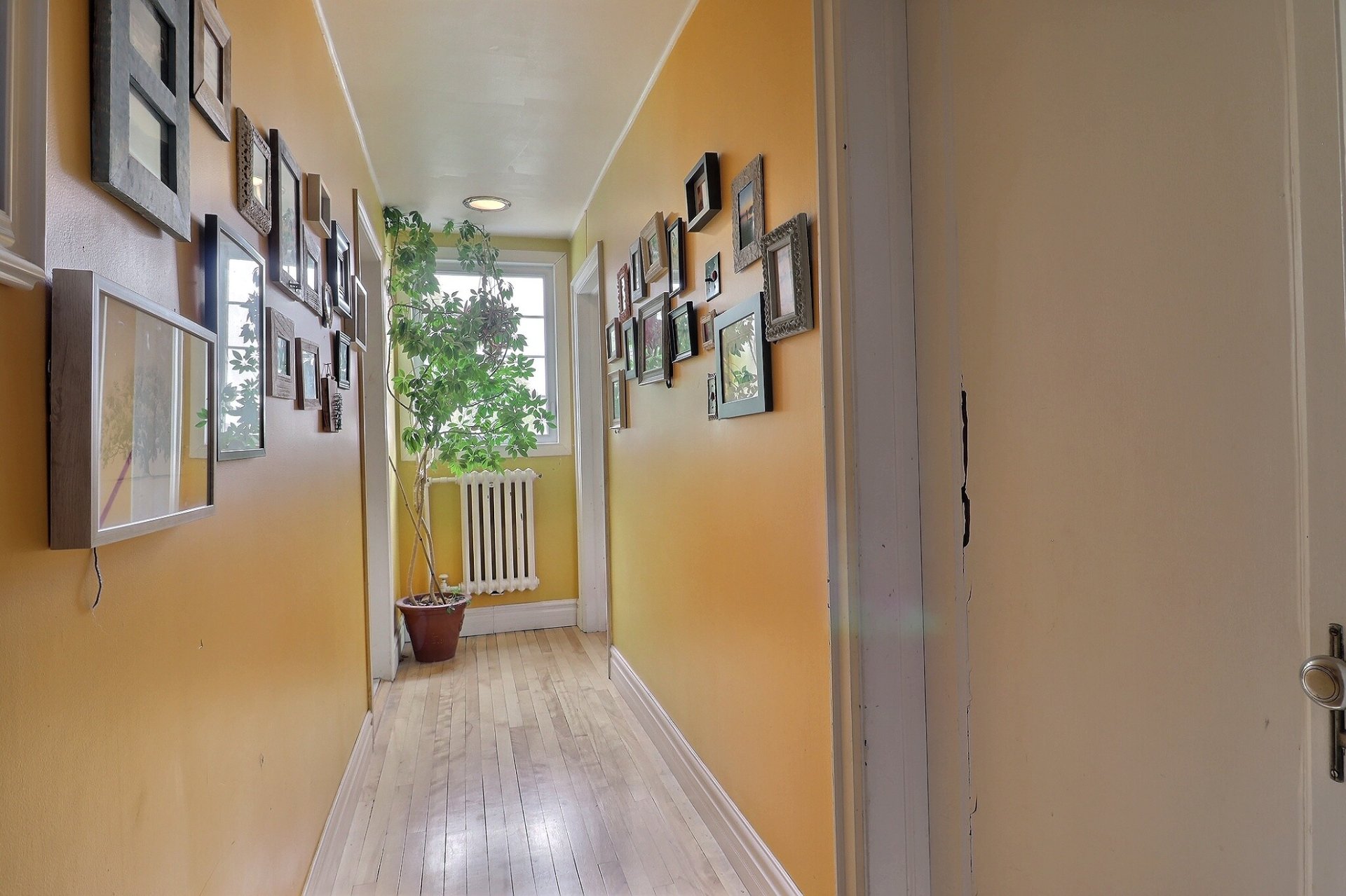 Corridor