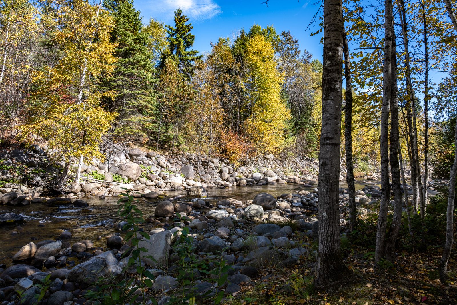Accès au plan d'eau