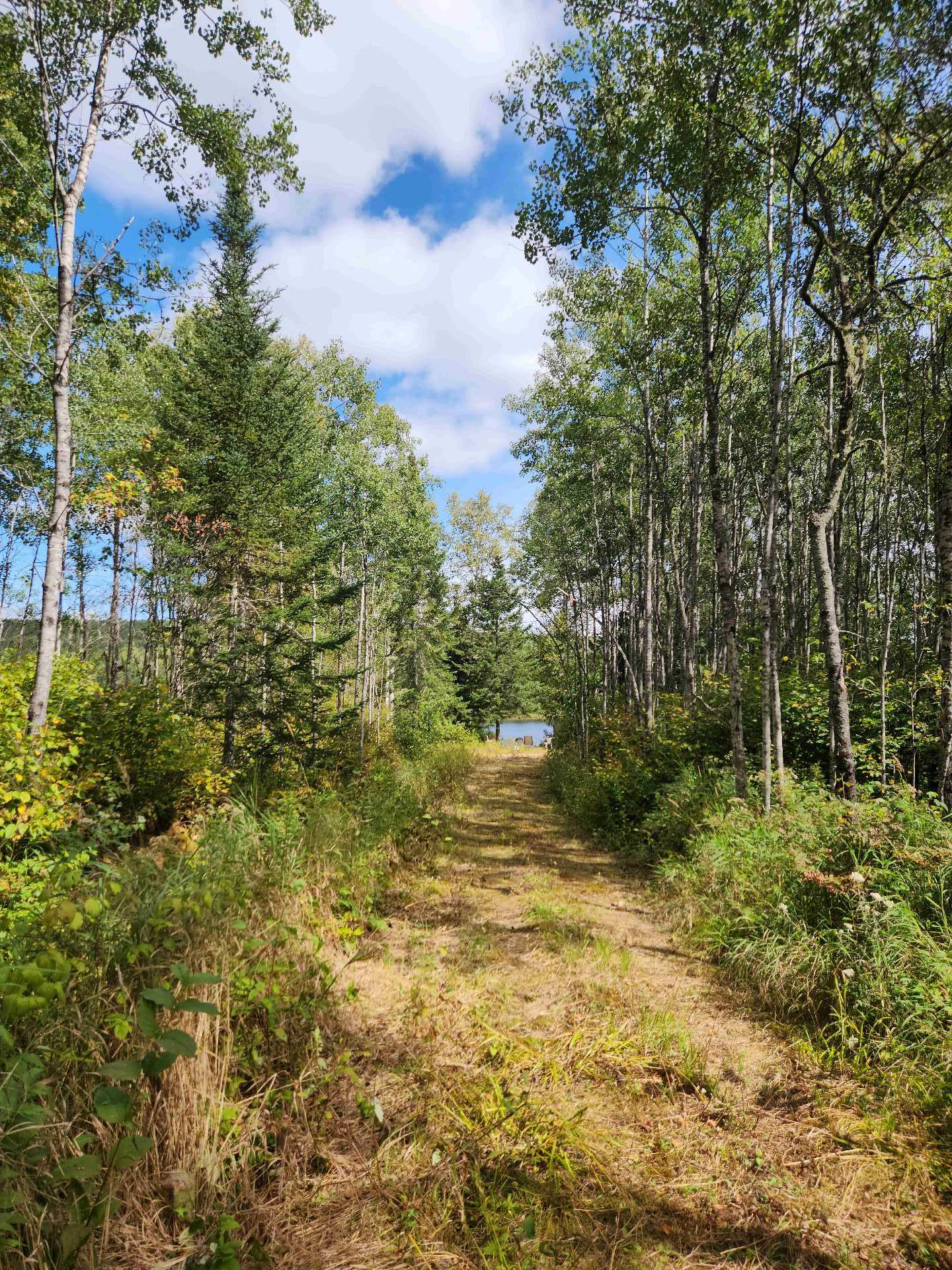 Land/Lot