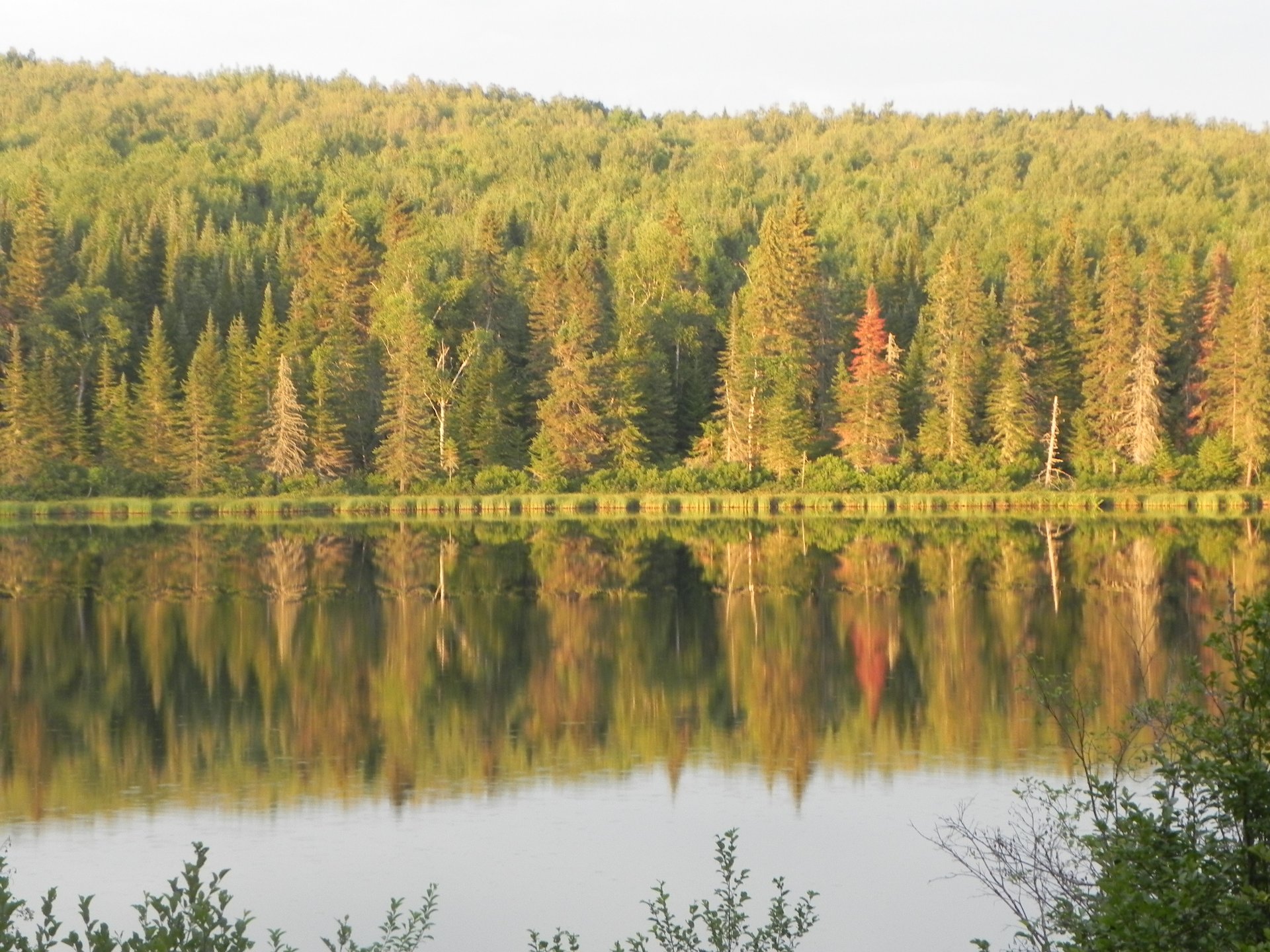 Photo fournie par le vendeur